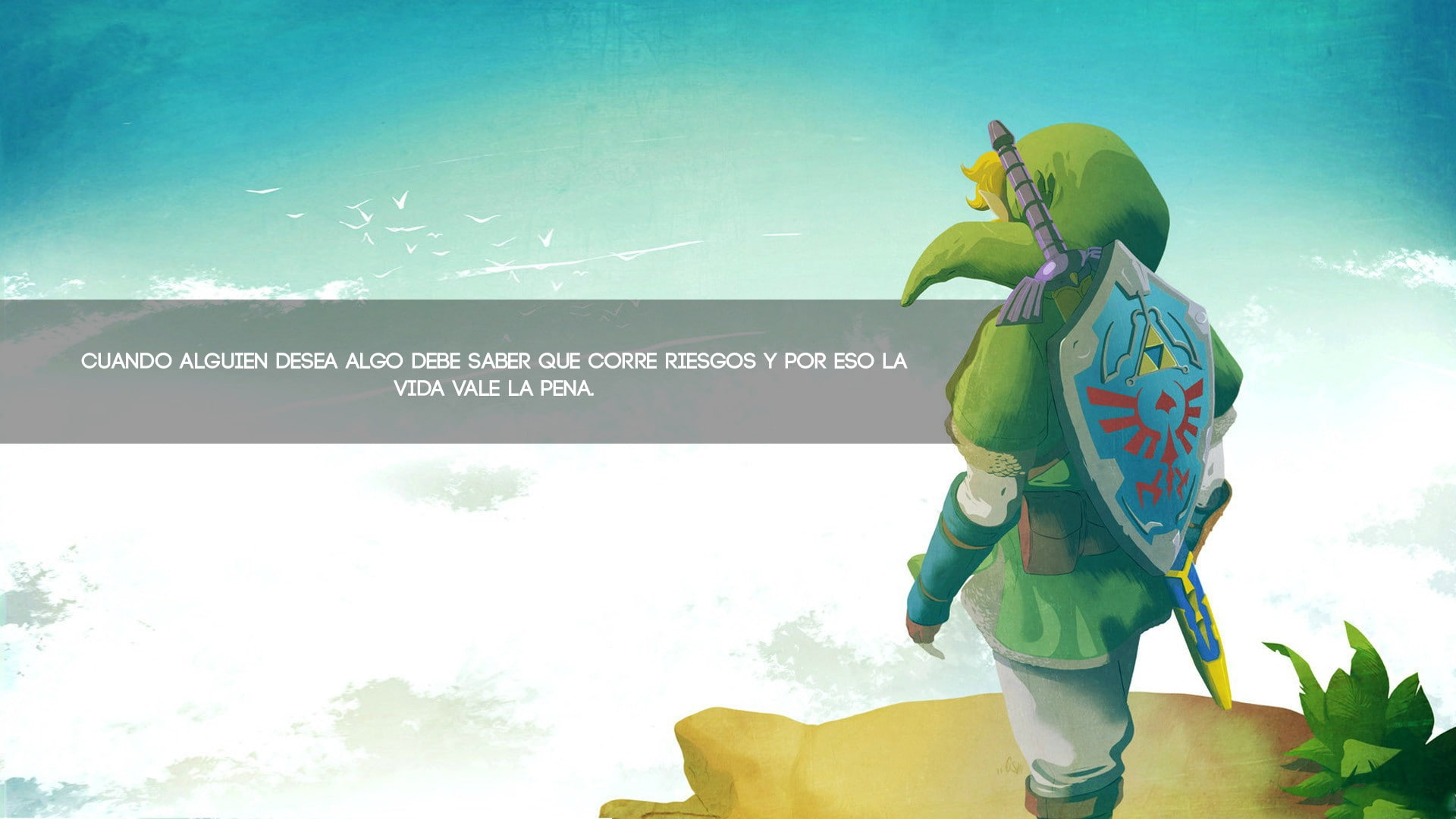 clothing, three quarter length, 1080P, plant, real people, holding, communication, The Legend of Zelda, cloud - sky, outdoors, text, one person, human representation, HD Wallpaper