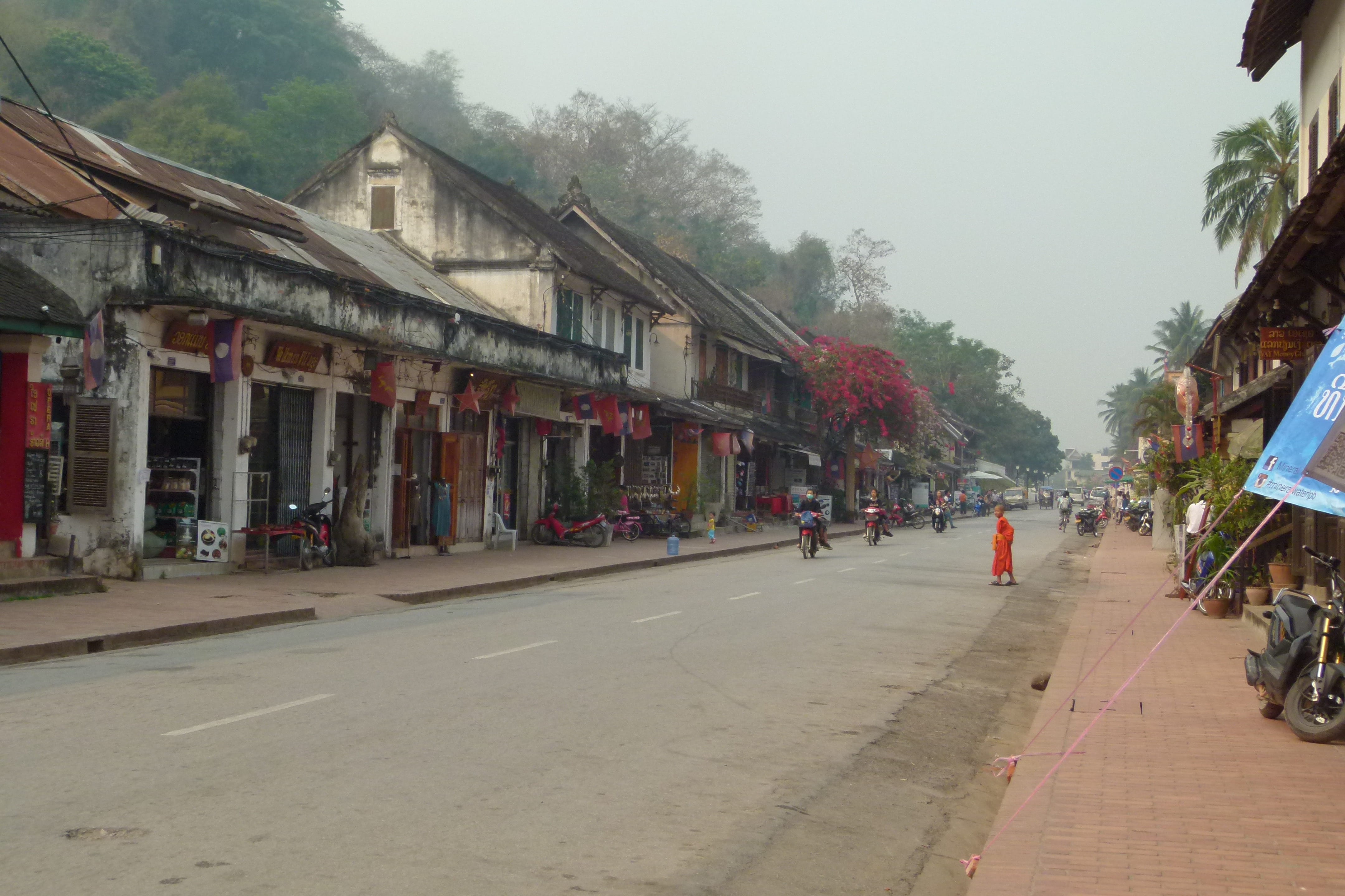 streetlife, street, the way forward, monk, landscapeformat, landscape, 4K, daytime, tree, large group of people, outdoors, luangprabang, city, HD Wallpaper