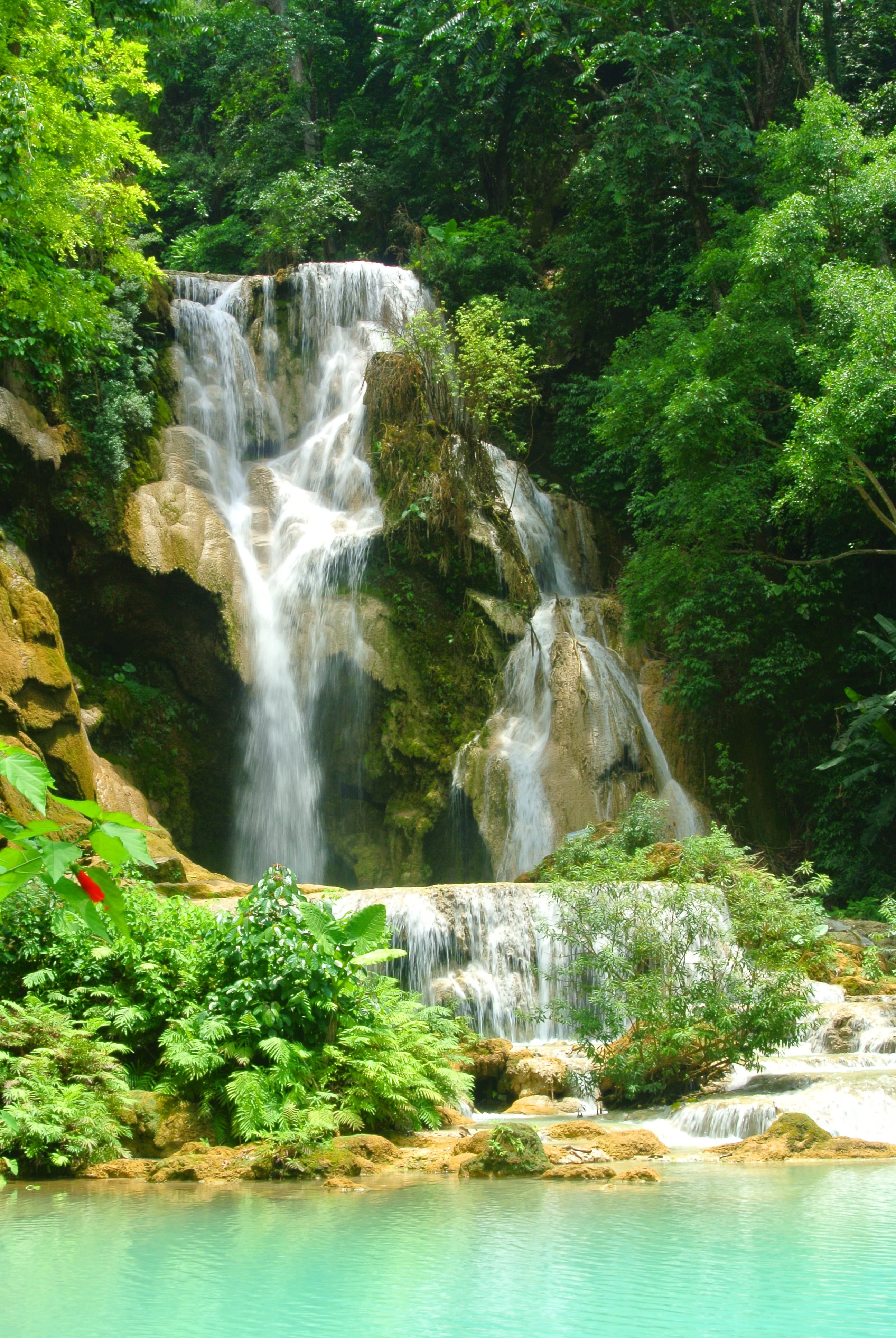 hills, rock, rainforest, rocky, motion, leafy, land, tree, falling water, nature, fresh, flora, rock - object, peaceful, waterfall, photography, scenic, Phone HD Wallpaper