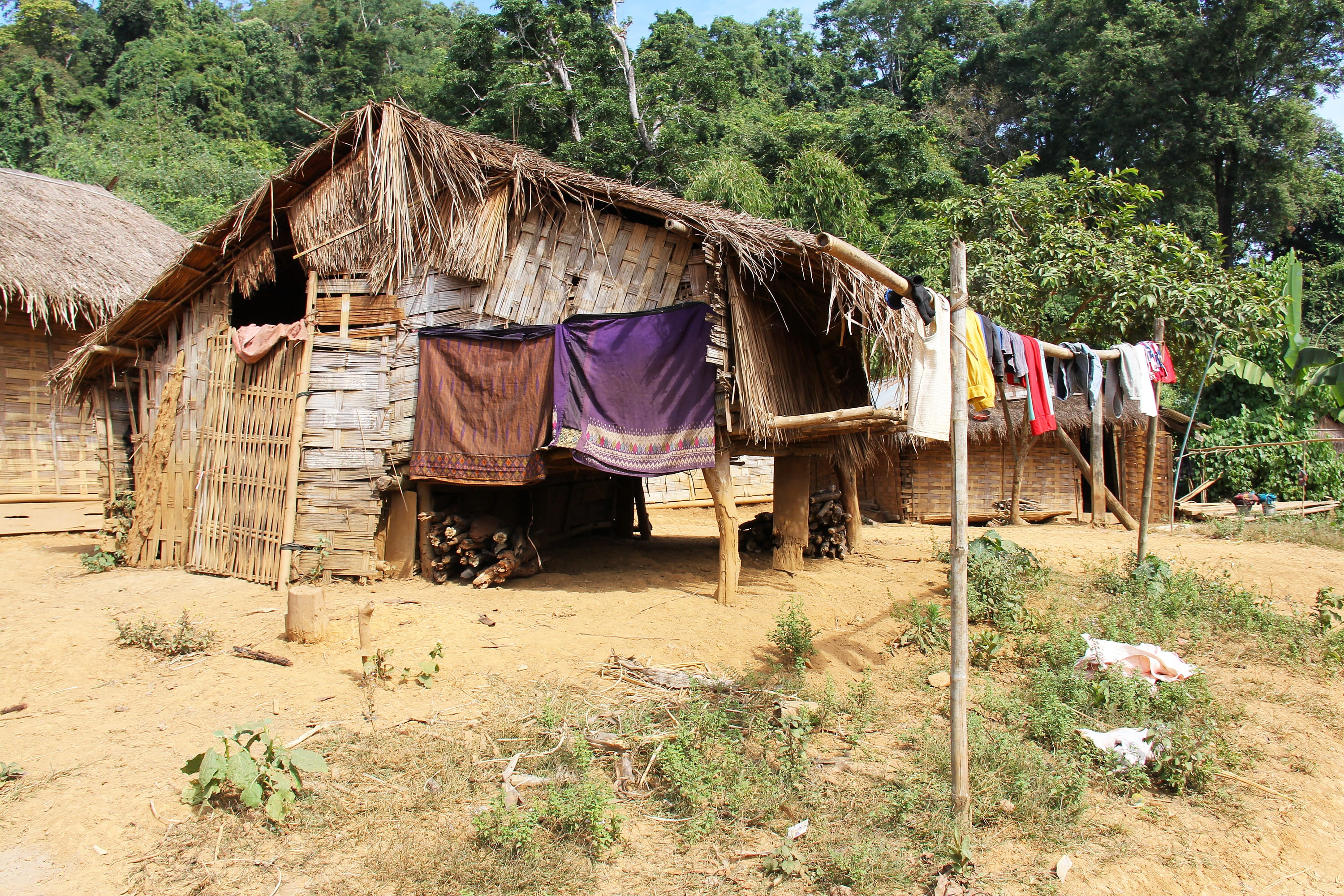 scenery, Houses, scenic, day, tourism, visit, Nature, field, plant, growth, house, laos, built structure, tree, drying, land, hut, architecture, building exterior, HD Wallpaper