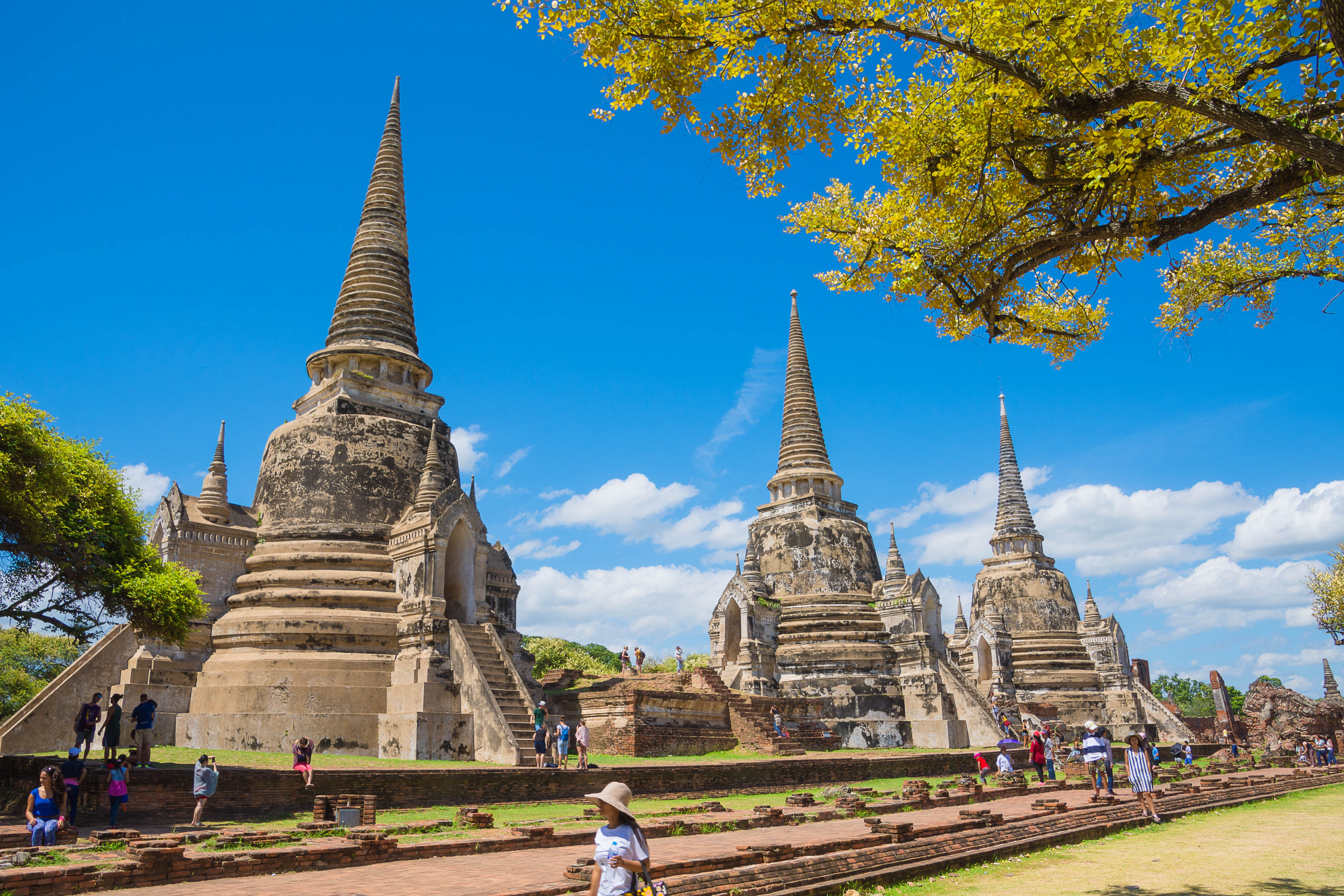 history, archaeology, ancient civilization, belief, phra nakhon si ayutthaya, tree, building, travel, ayutthaya old, ancient, spire, religion, outdoors, HD Wallpaper