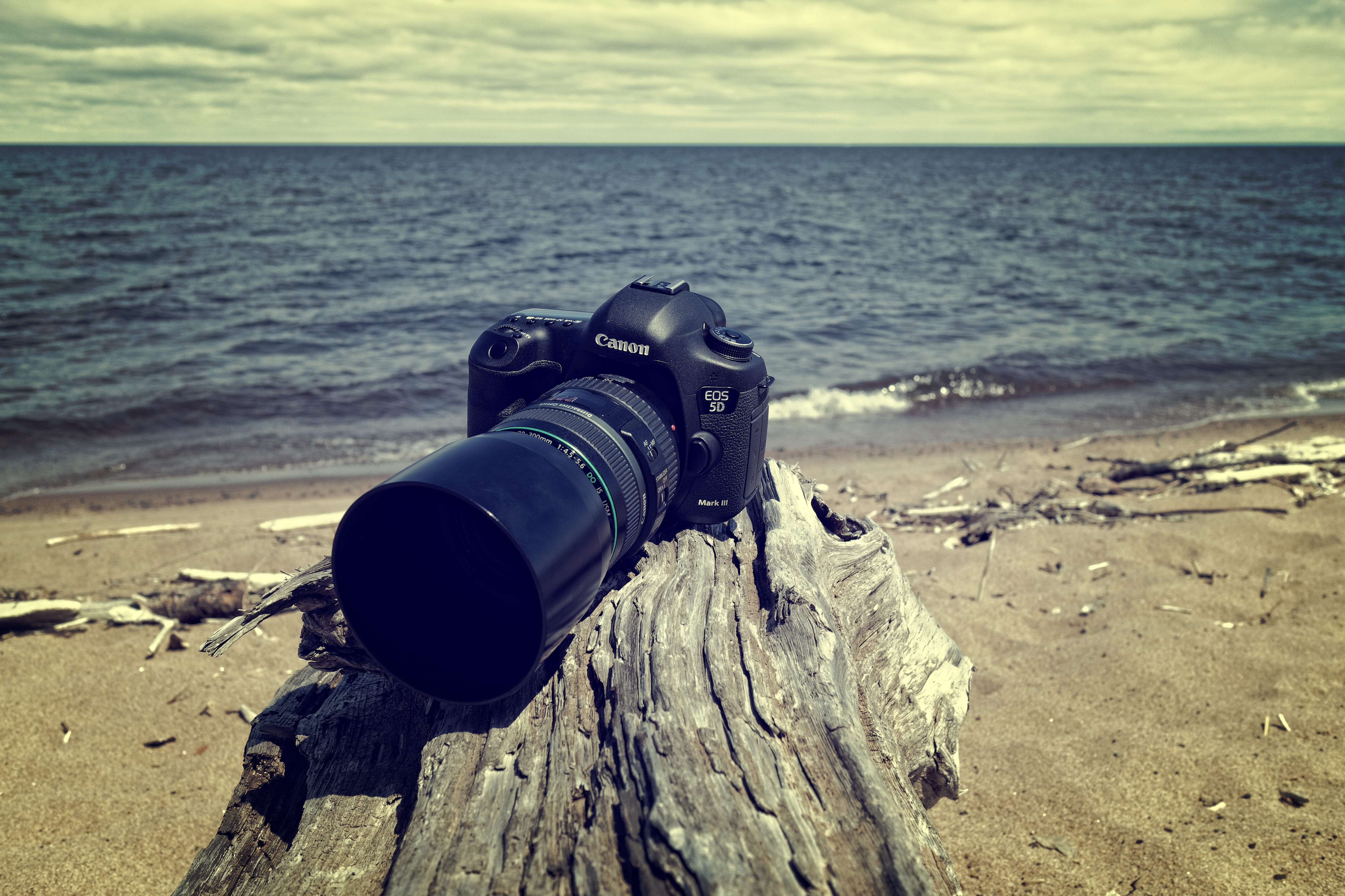 outdoors, seashore, driftwood, sand, beauty in nature, sea, digital single-lens reflex camera, 5K, photographic equipment, sky, day, horizon over water, HD Wallpaper