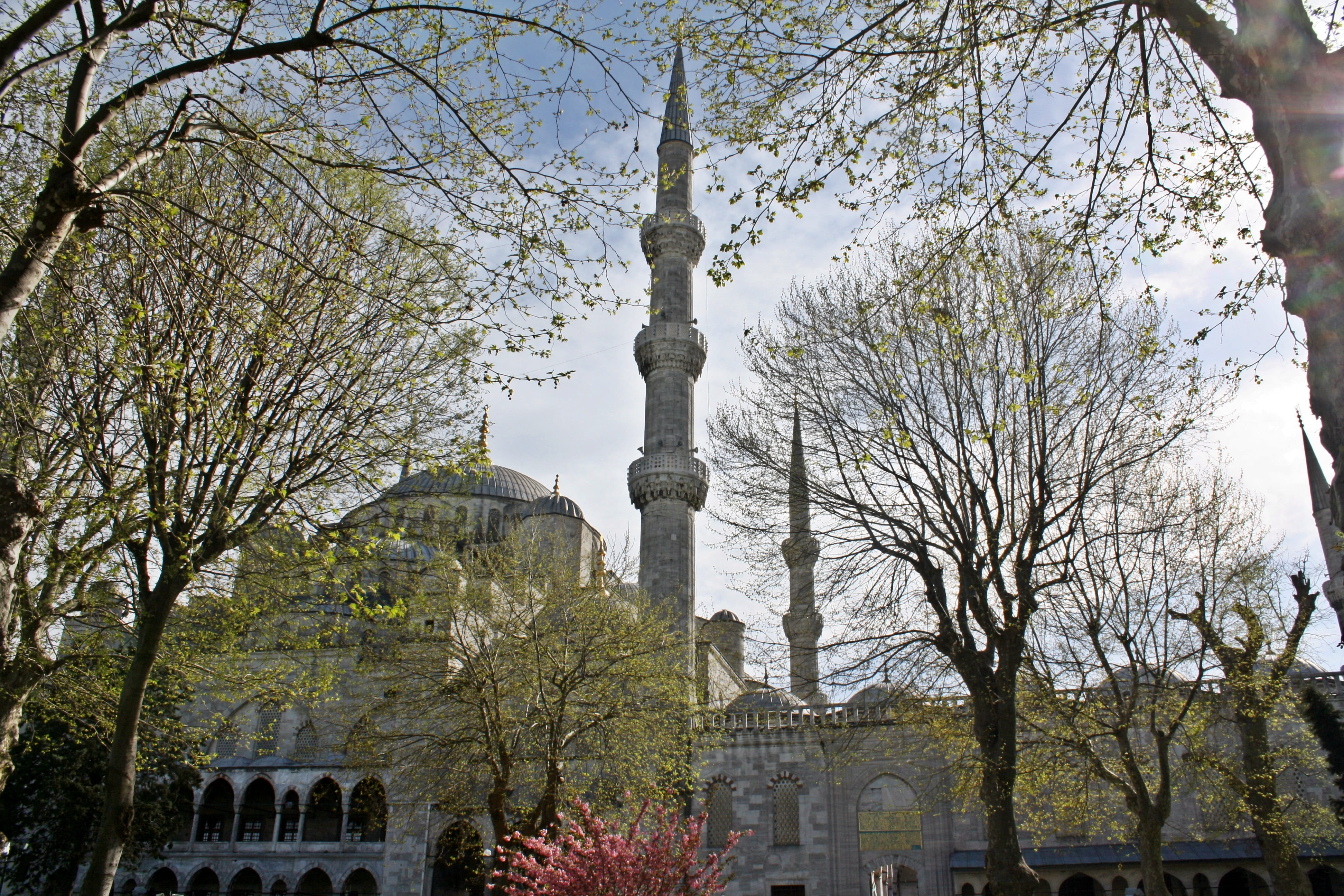 religion, turkey, tree, day, istanbul, city, no people, tower, travel destinations, Building, Sultan Ahmed, Architecture, place of worship, belief, plant, HD Wallpaper