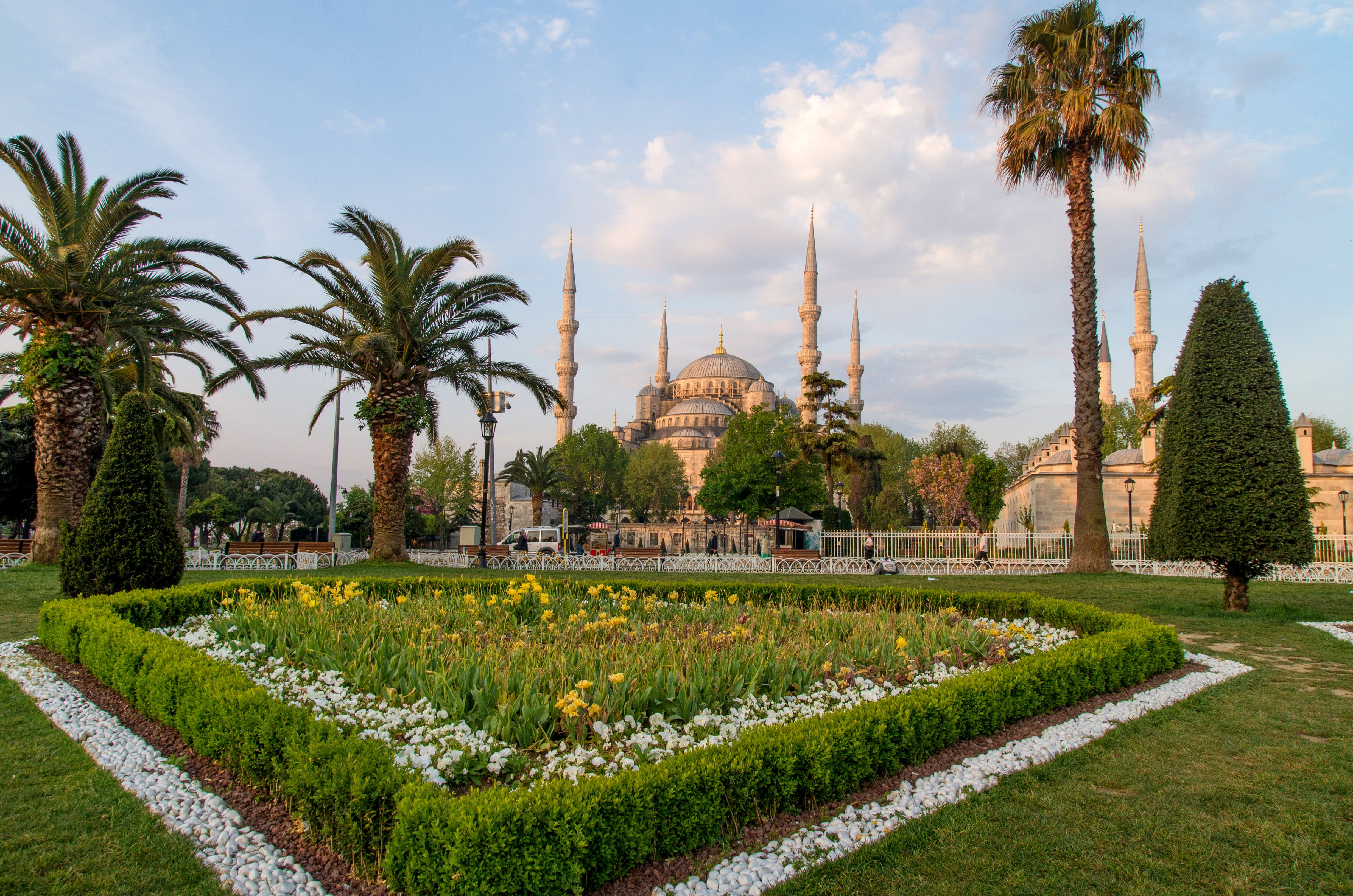 islam, palm tree, minaret, golden hour, religion, travel destinations, no people, great mosque, tourism, architecture, sultanahmet square, hedge, grass, HD Wallpaper