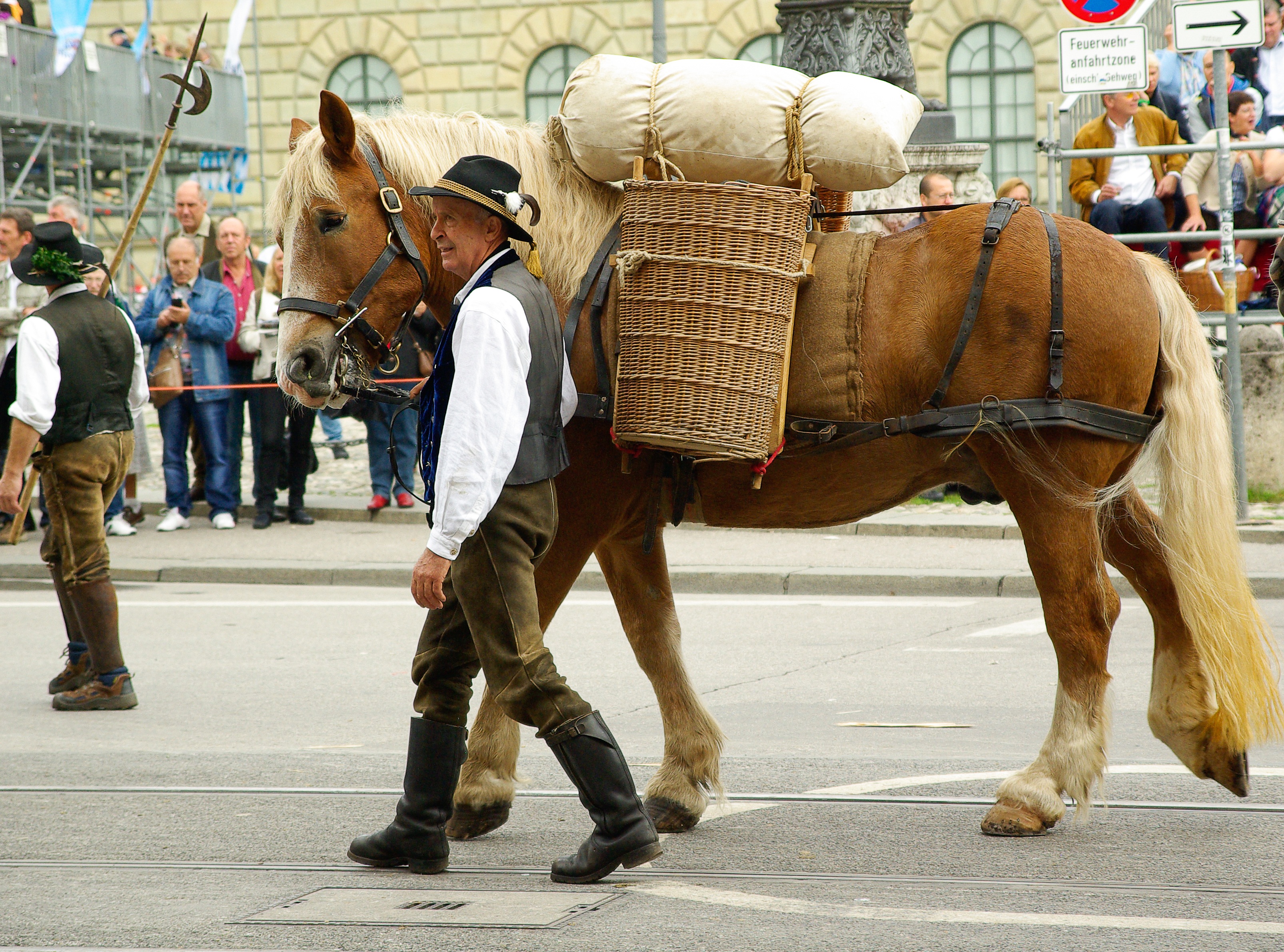 group of people, street, day, transportation, domestic, pets, vertebrate, city, animal wildlife, horse, men, spectator, real people, parade, oktoberfest, HD Wallpaper