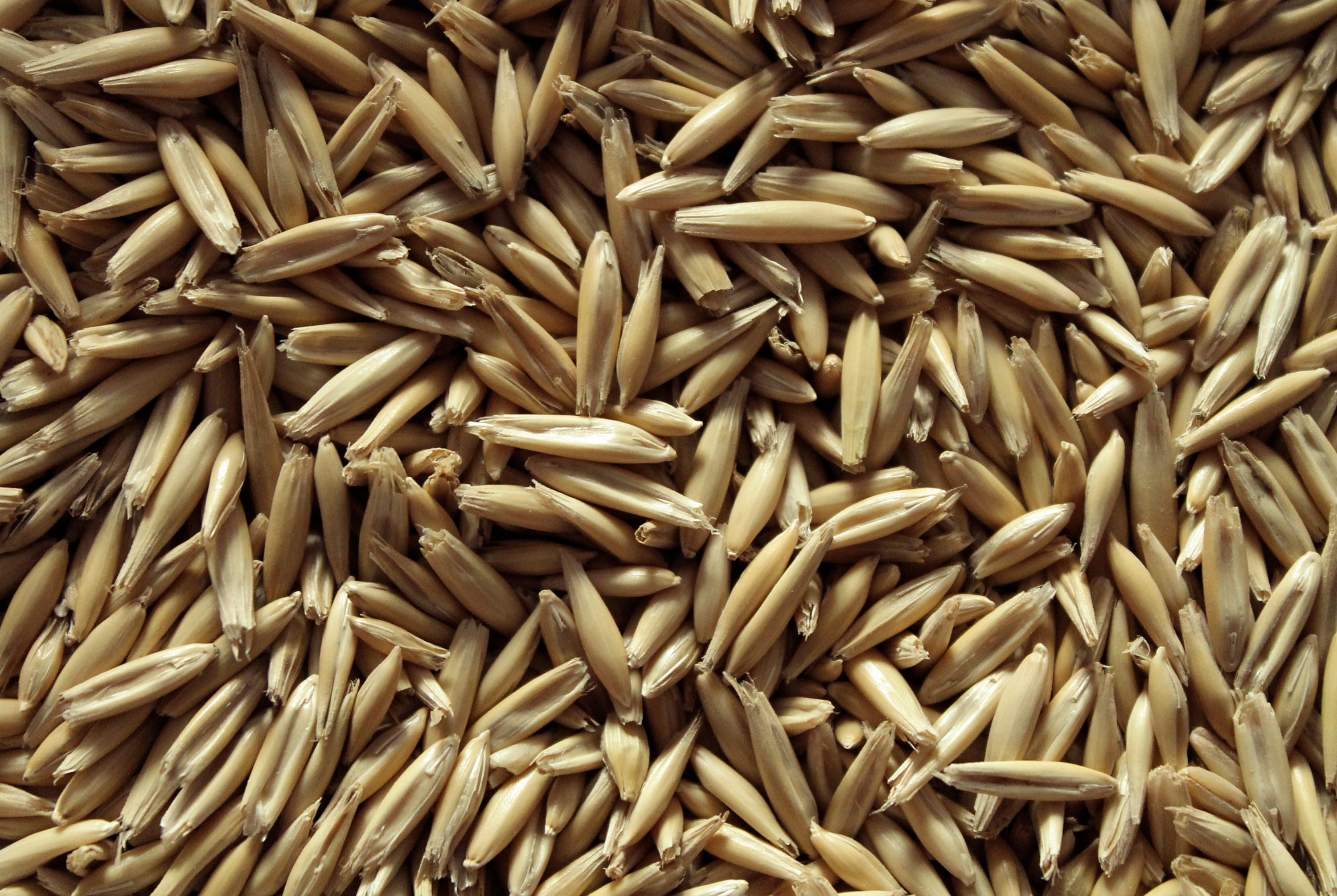 repetition, large group of objects, no people, vegetable, seeds, high angle view, 2K, food, indoors, raw food, cereals, heap, oats, backgrounds, for sale, HD Wallpaper