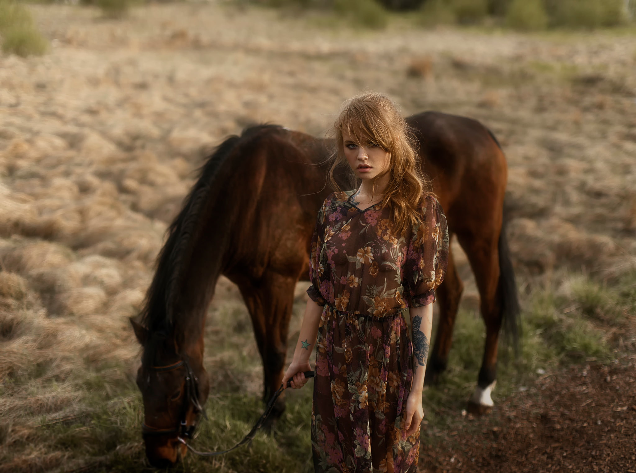 brown, outdoors, long hair, animal, domestic animals, domestic, 1080P, hairstyle, horse, Anastasia Shcheglova, focus on foreground, standing, animal wildlife, HD Wallpaper