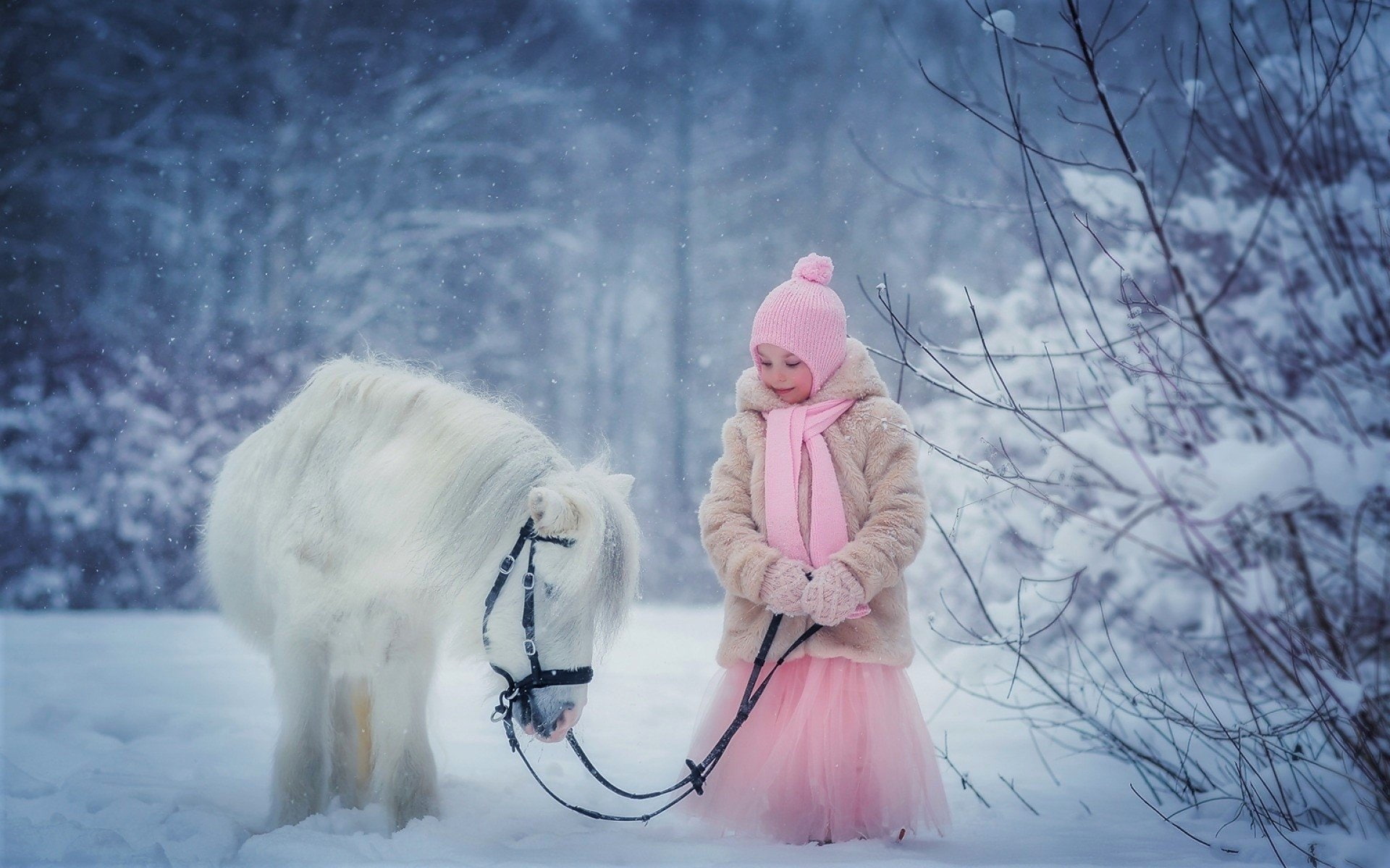 Snow, Pony, Winter, Child, Little Girl, Photography, White, Cute, 1080P, Girl, HD Wallpaper