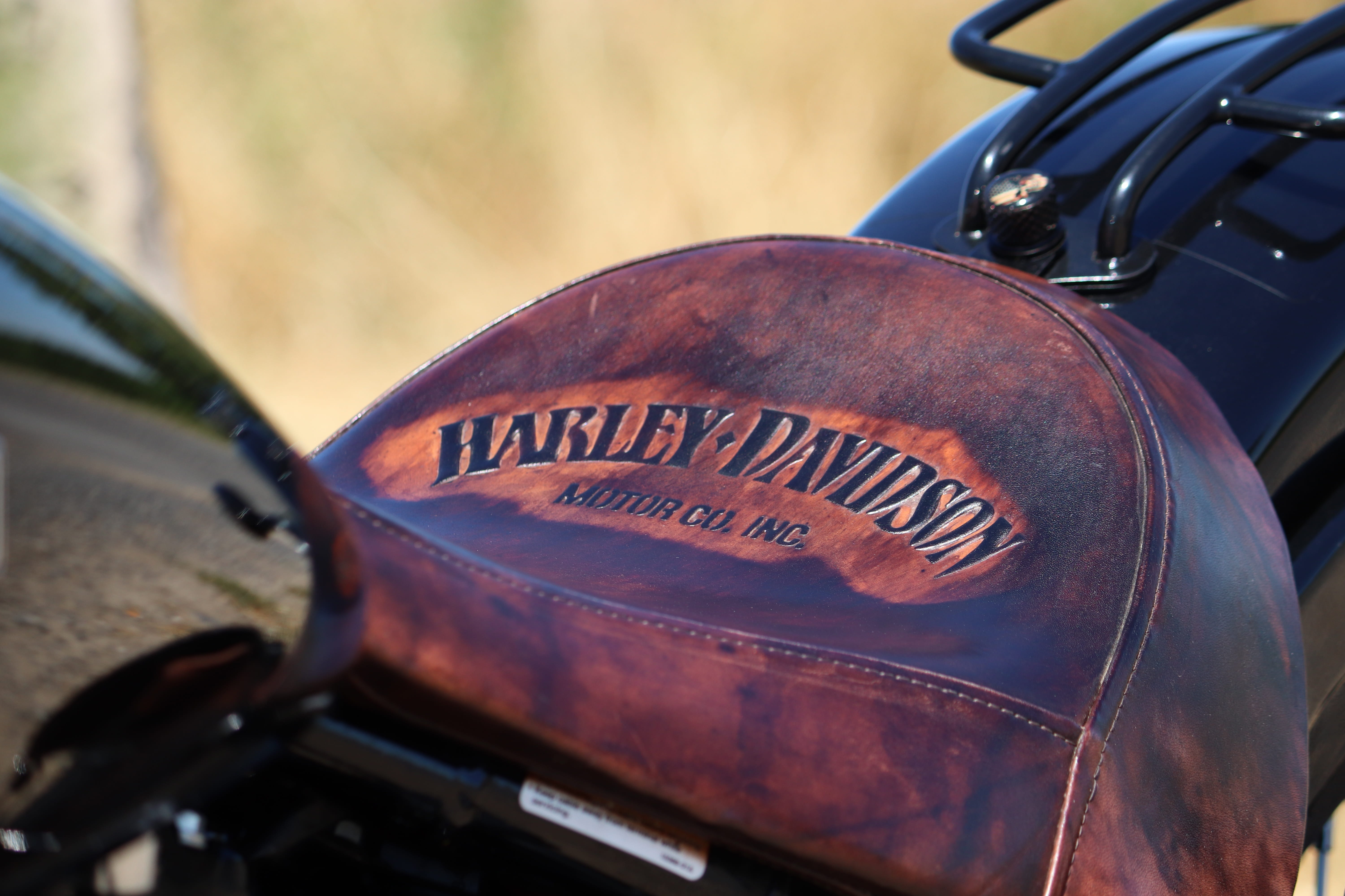 harley, 5K, davidson, softail, car, close-up, selective focus, motor vehicle, leather, outdoors, land vehicle, text, day, motorcycles, focus on foreground, HD Wallpaper