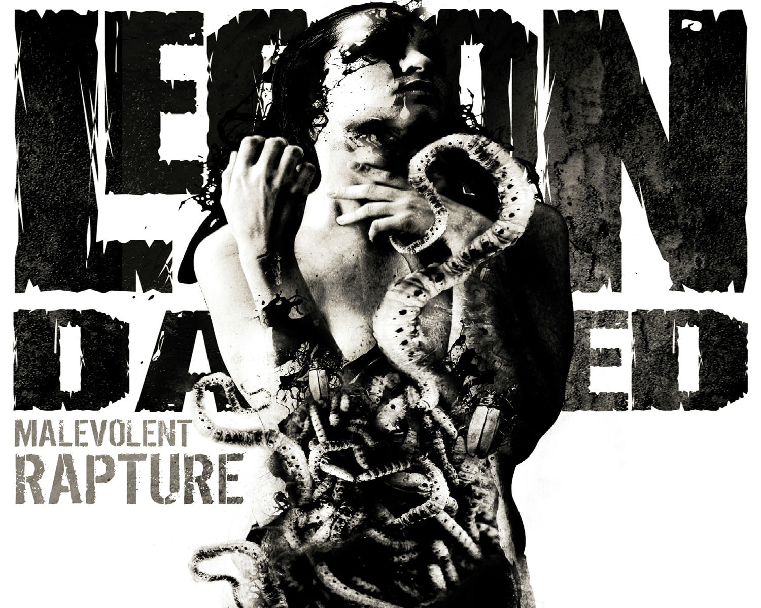 thrash, metal, heavy, 720P, legion, damned, HD Wallpaper