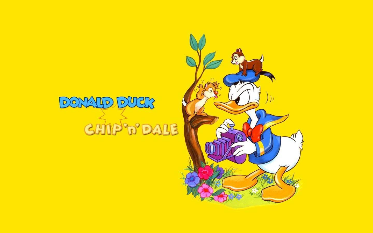 Donald Duck, Disney, 720P, HD Wallpaper
