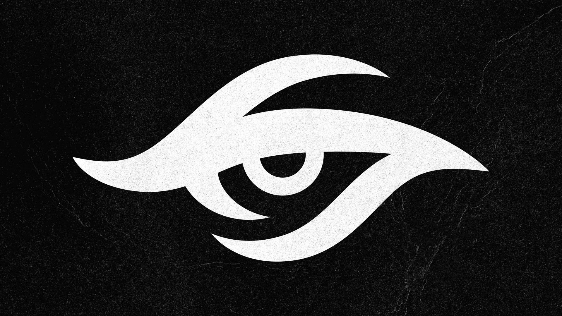 Dota, esport, e-sports, 1080P, Dota 2, moba, team, Games Workshop, HD Wallpaper