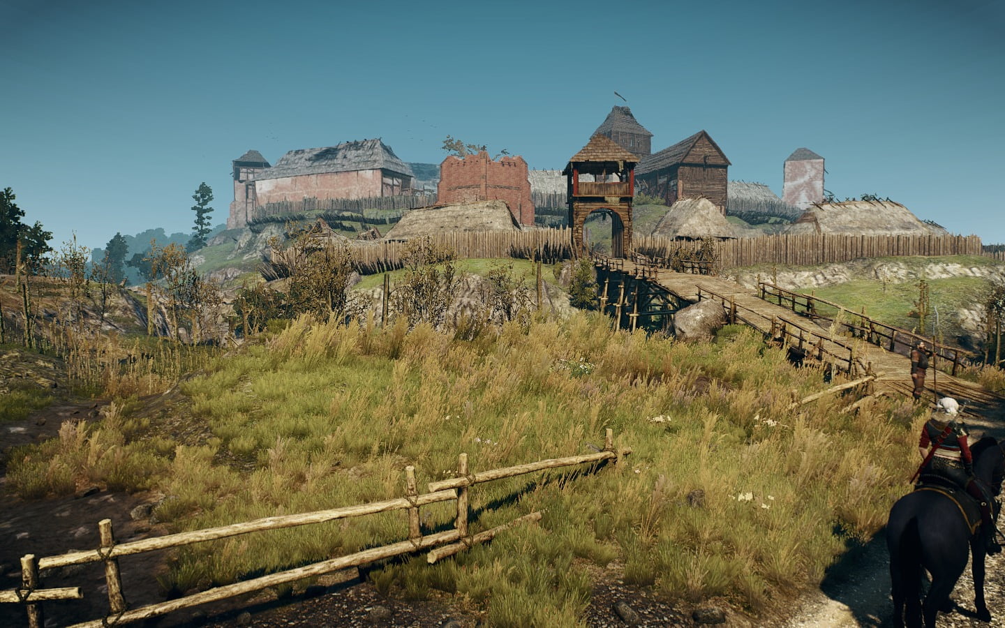 land, The Witcher, video games, plant, The Witcher 3: Wild Hunt, belief, travel destinations, tree, religion, clear sky, environment, place of worship, HD Wallpaper
