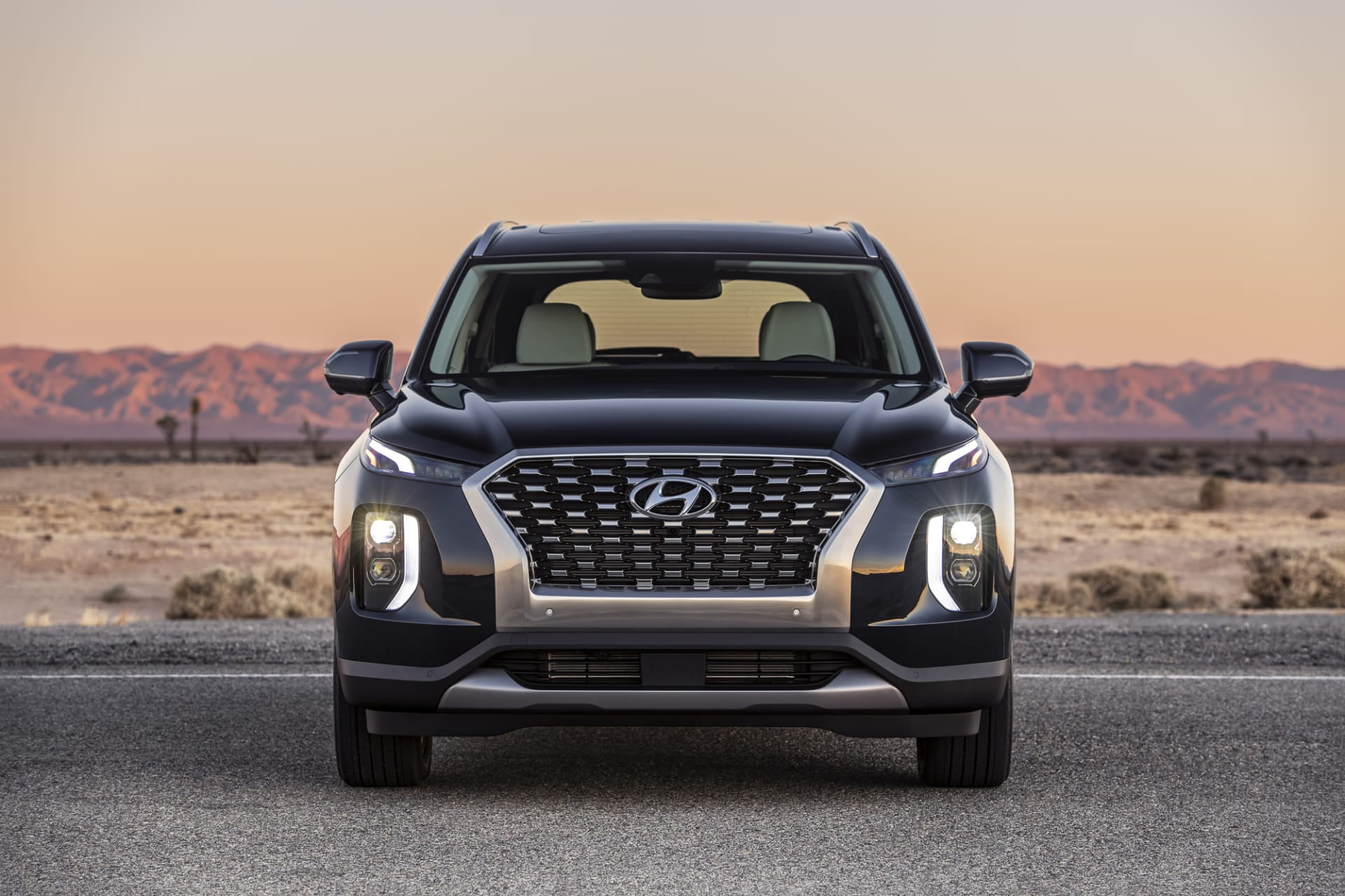 Car, Hyundai Palisade, SUV, Vehicle, Hyundai, 1080P, HD Wallpaper
