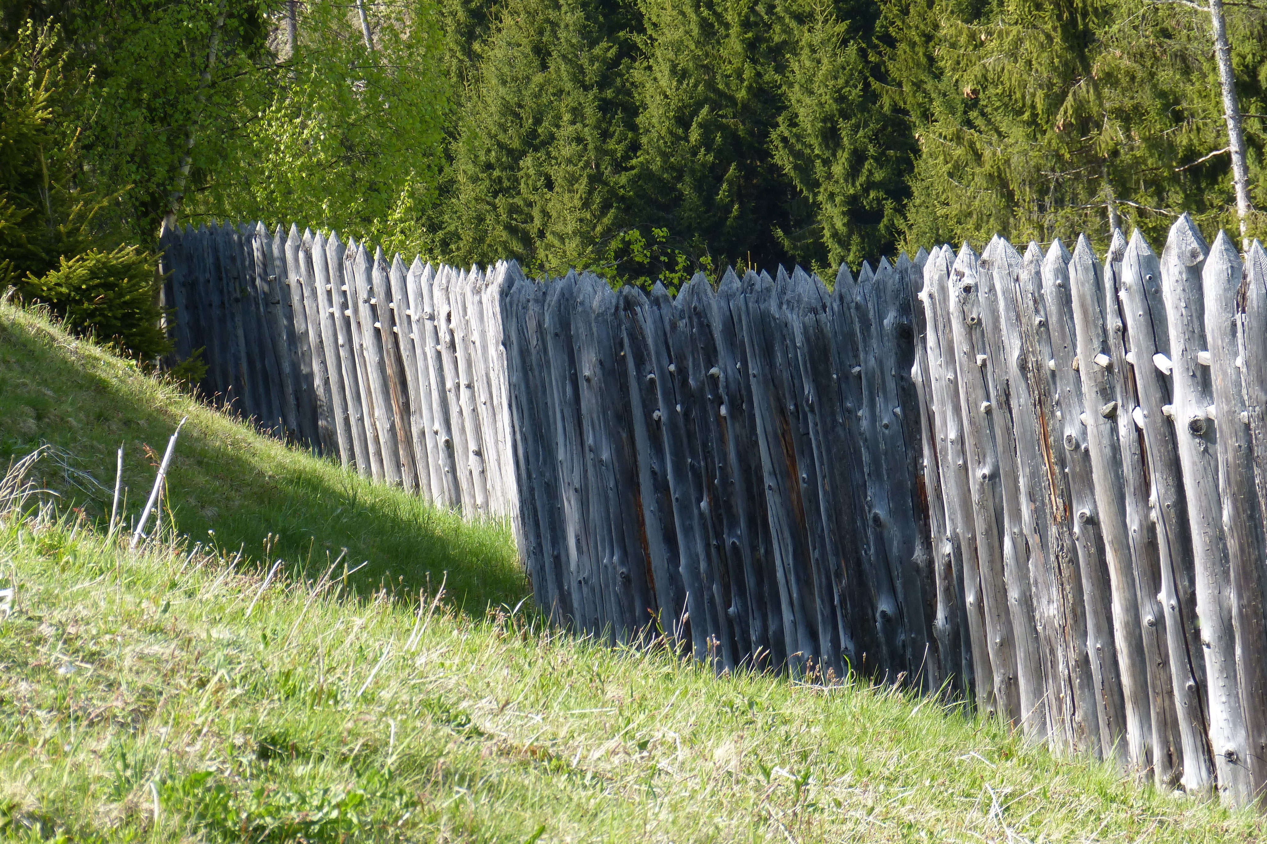 4K, wood - material, boundary, military fence, fuel and power generation, fence, water, nature, motion, celts village, grass, sunlight, growth, barrier, HD Wallpaper