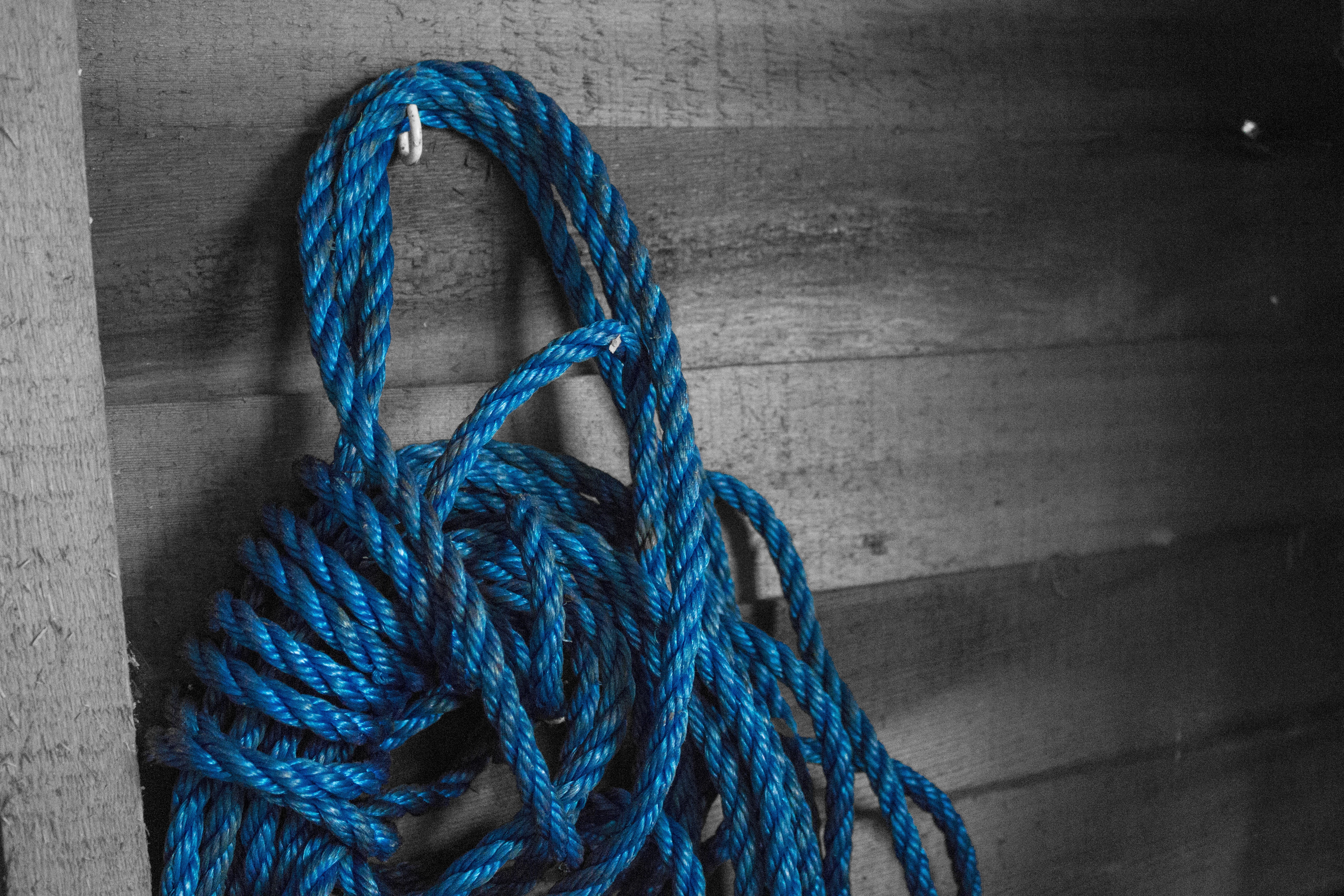 purple, cord, high angle view, textured, pattern, lasso, barn, cowboy, wall - building feature, craft, shed, no people, still life, complexity, day, textile, HD Wallpaper