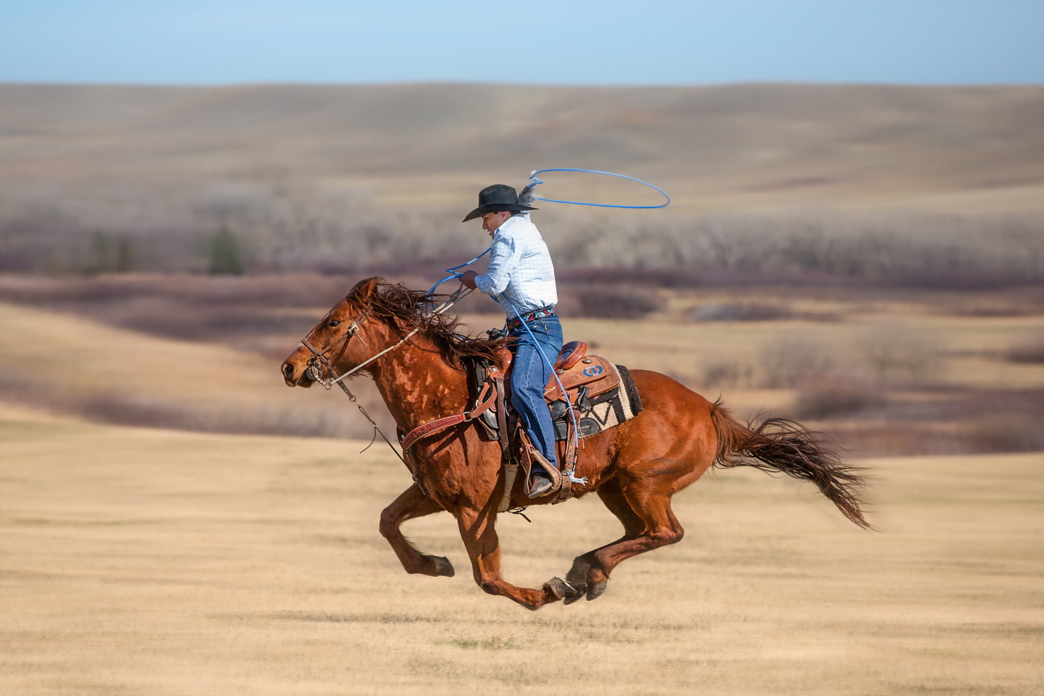 lasso, 1080P, roping, cowboy, HD Wallpaper