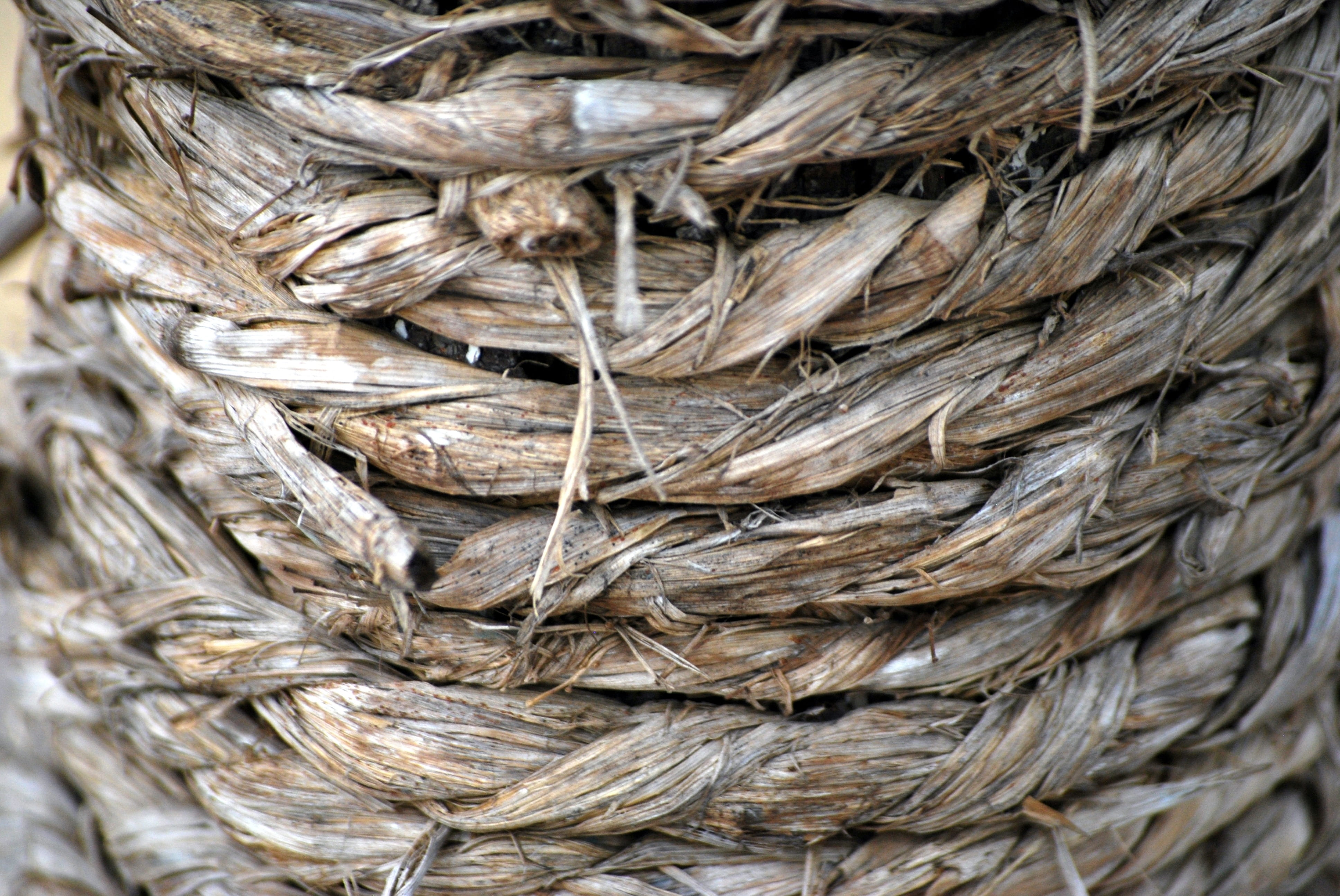 lasso, outdoors, brown, tangled, lace, sisal, abundance, cordage, synthetic, safety, tie, twine, full frame, still life, nature, day, dry, rope, loop, rough, HD Wallpaper