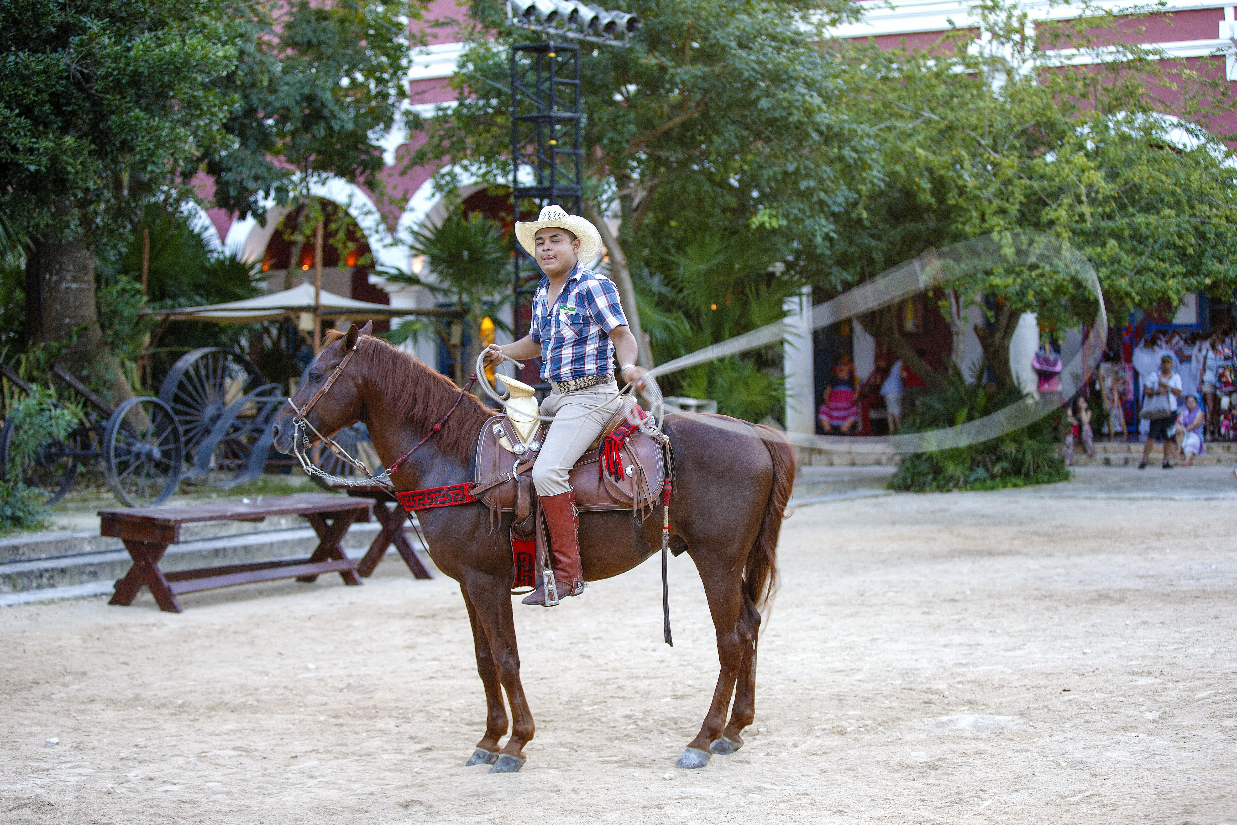 one person, performance, outdoors, riding, lifestyles, attraction, saddle, 5K, horse, domestic animals, horseback riding, animal wildlife, mexico, real people, HD Wallpaper