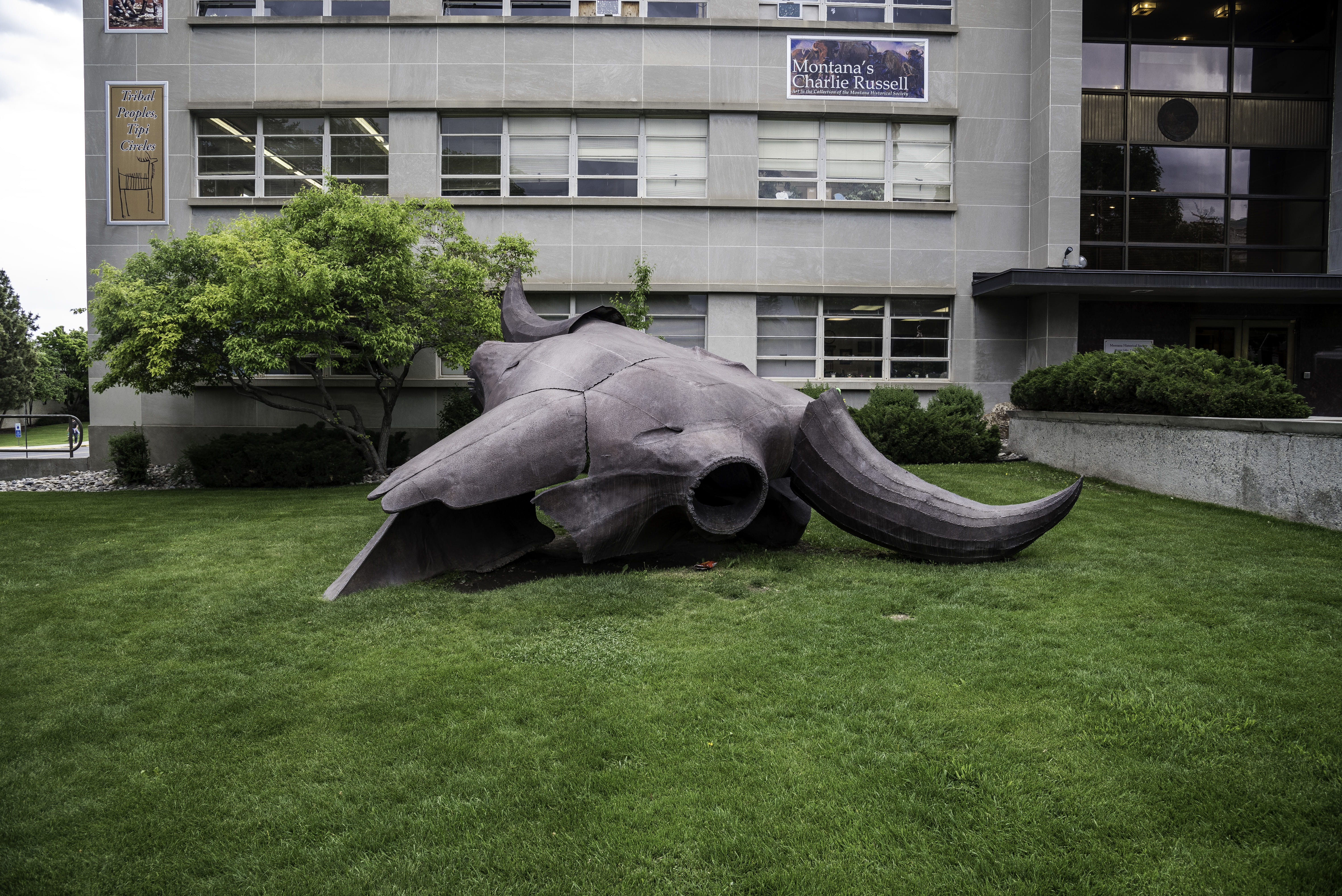 one animal, building exterior, public domain, grass, front or back yard, building, Skull, plant, animal representation, animal themes, nature, art and craft, HD Wallpaper