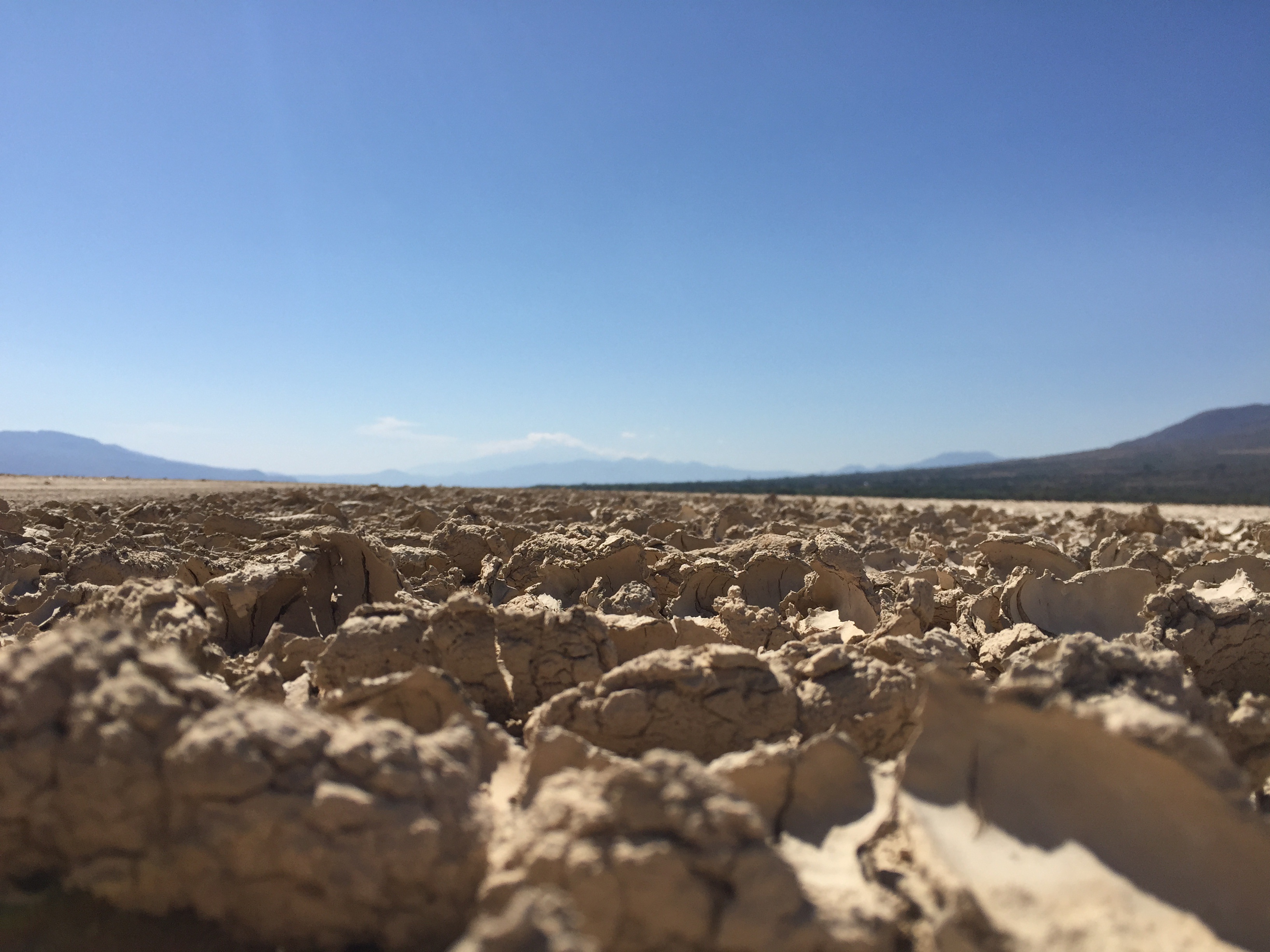 climate, all terrain, outdoors, nature, sand, environment, rock, arid climate, sky, rock - object, mountain, background, beauty in nature, copy space, cow skull, HD Wallpaper