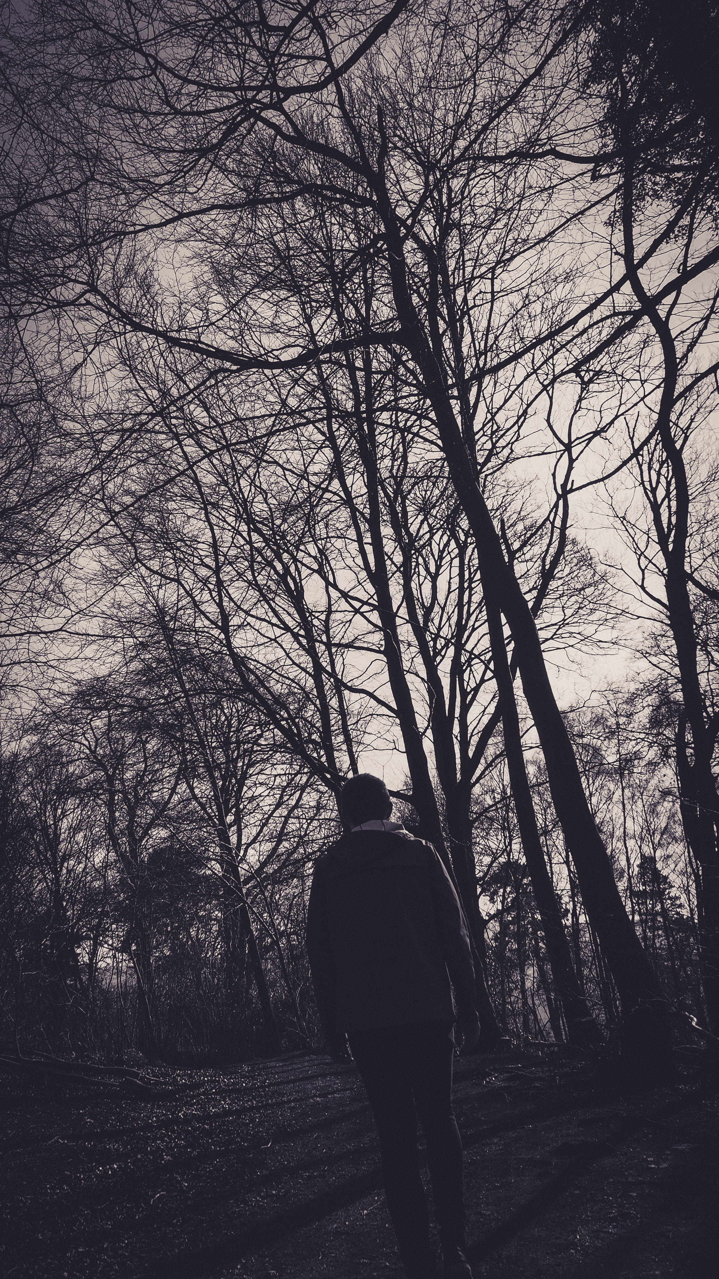 sepia, bare tree, nature, full length, non-urban scene, loggerheads country park, trees, dark, forest, walks, rear view, lifestyles, plant, tranquility, Phone HD Wallpaper