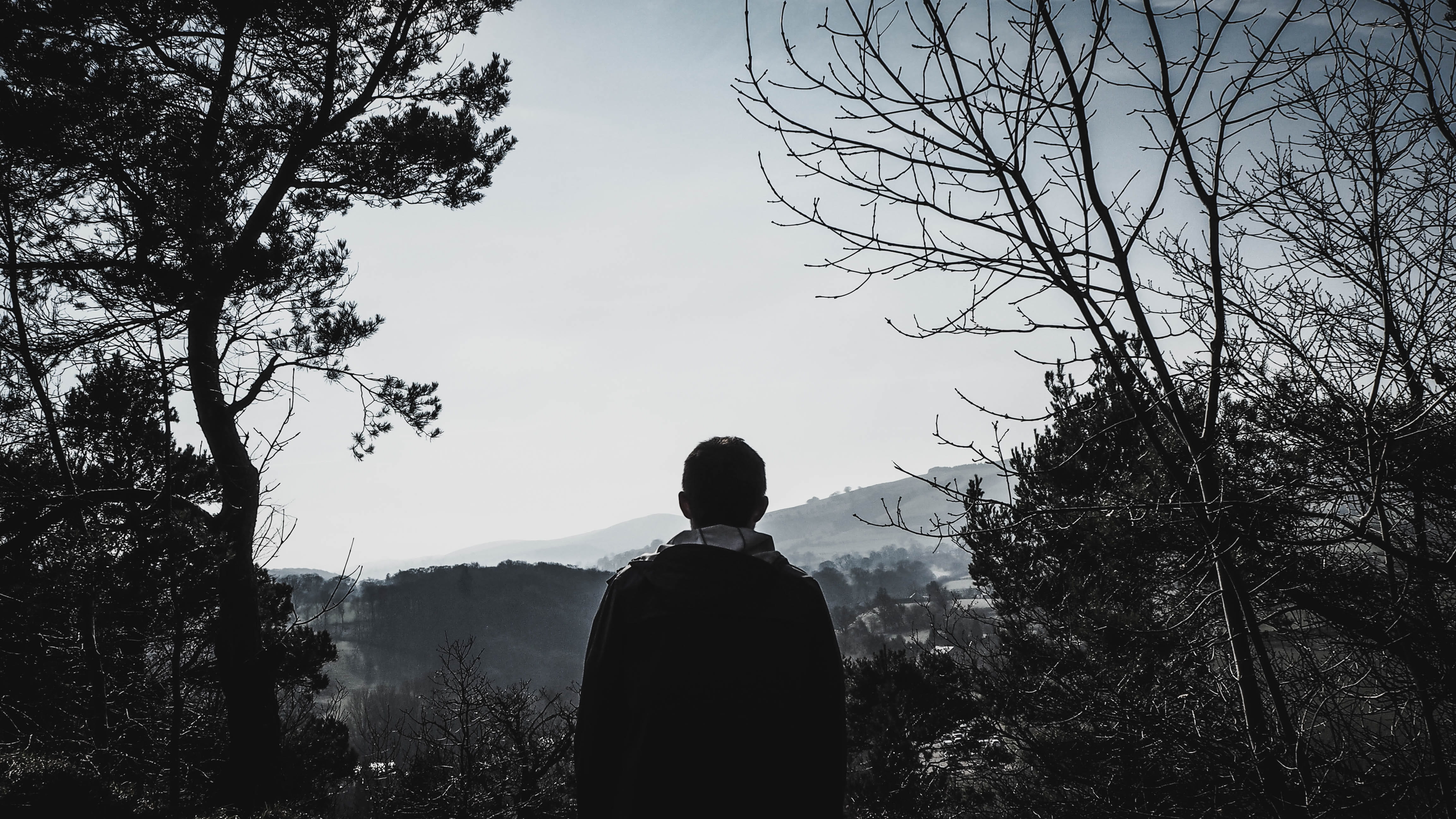 standing, scenics - nature, one person, rear view, outdoors, growth, united kingdom, waist up, forest, sky, scenery, nature, non-urban scene, park, branch, HD Wallpaper