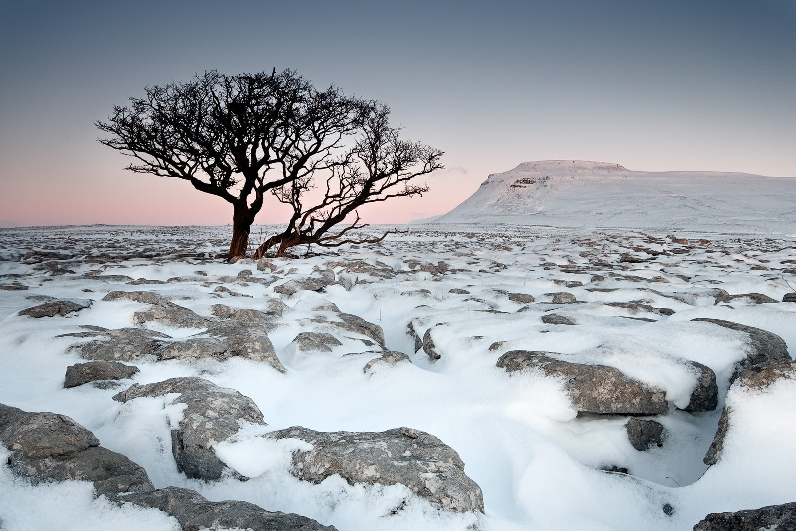 Landscape photographer, 720P, winter, tree, White, Limestone pavement, landscape  photographer, landscape, ice, Ingleborough, snow, place, snowy, Scar, HD Wallpaper