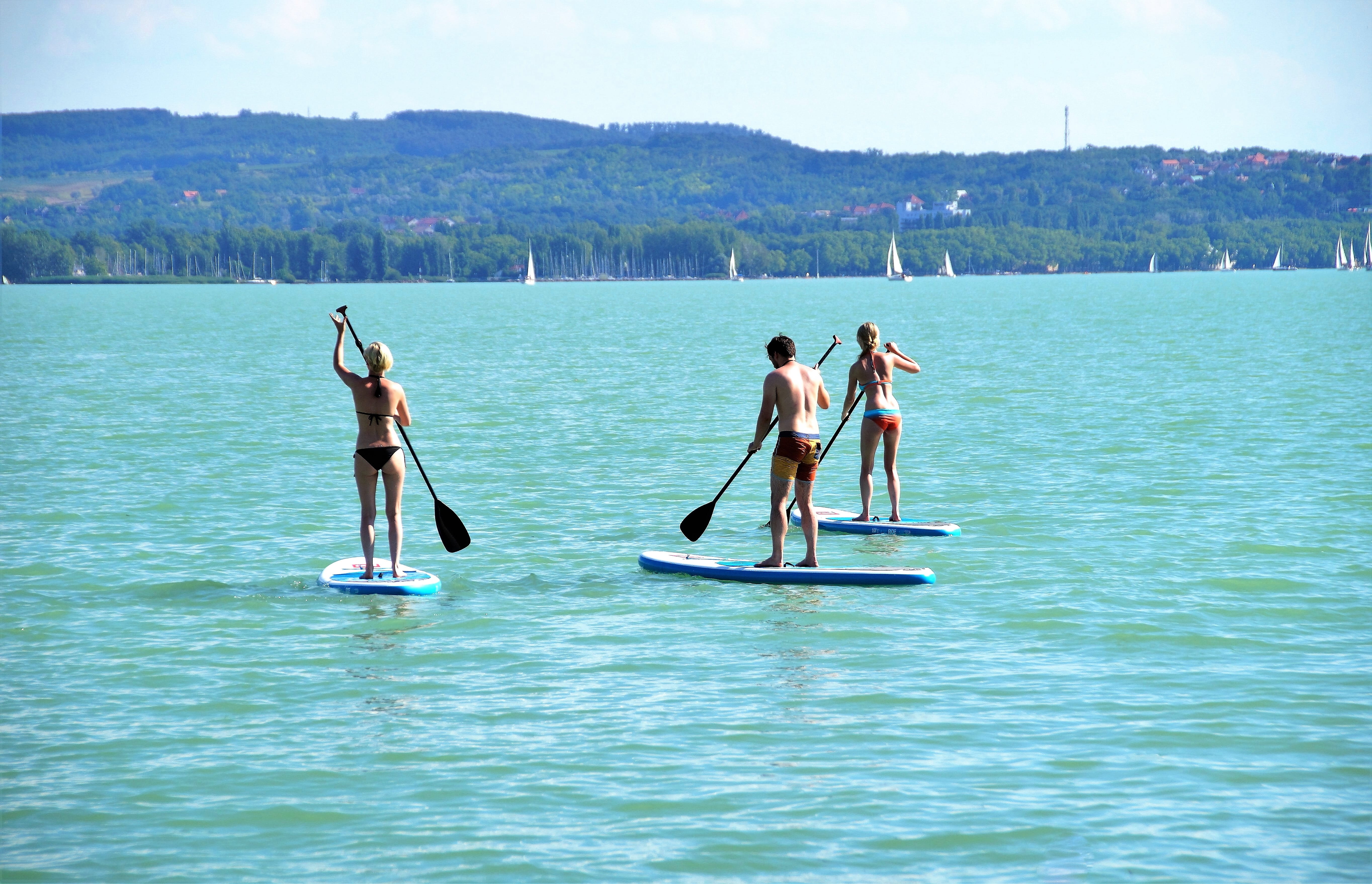boat, men, nautical vessel, leisure activity, oar, paddling, group of people, Stand Up Paddle, sunny, outdoors, Water, transportation, real people, sky, HD Wallpaper