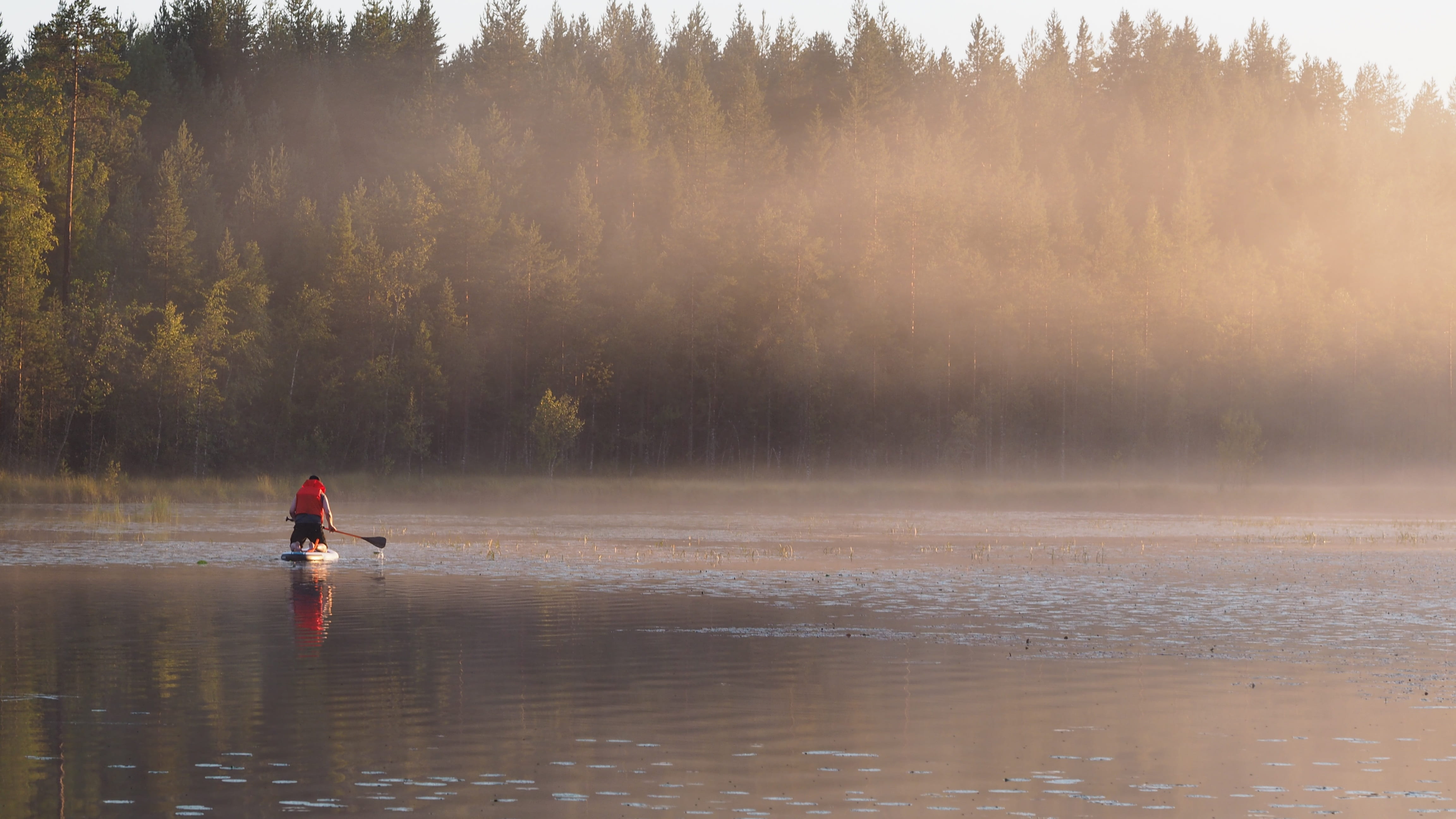 reflection, adult, nature, tranquil scene, water, one person, sup-surfing in, tranquility, activity, outdoors, fog, lake, sport, paddle, tree, forest, men, HD Wallpaper
