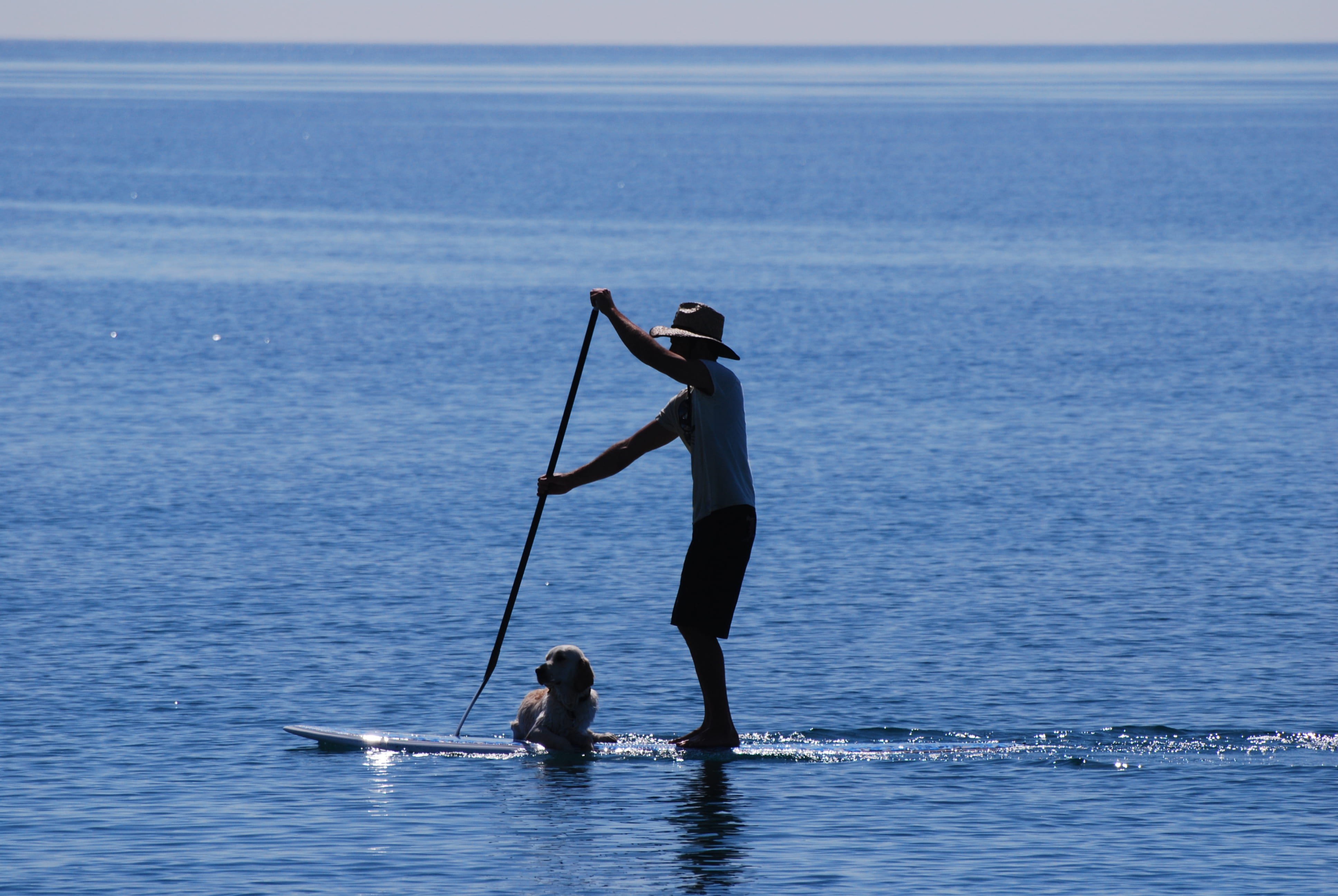4K, sky, sup, horizon over water, standing, beauty in nature, nature, real people, stand up paddle, golden retriever, horizon, tandem, leisure activity, HD Wallpaper