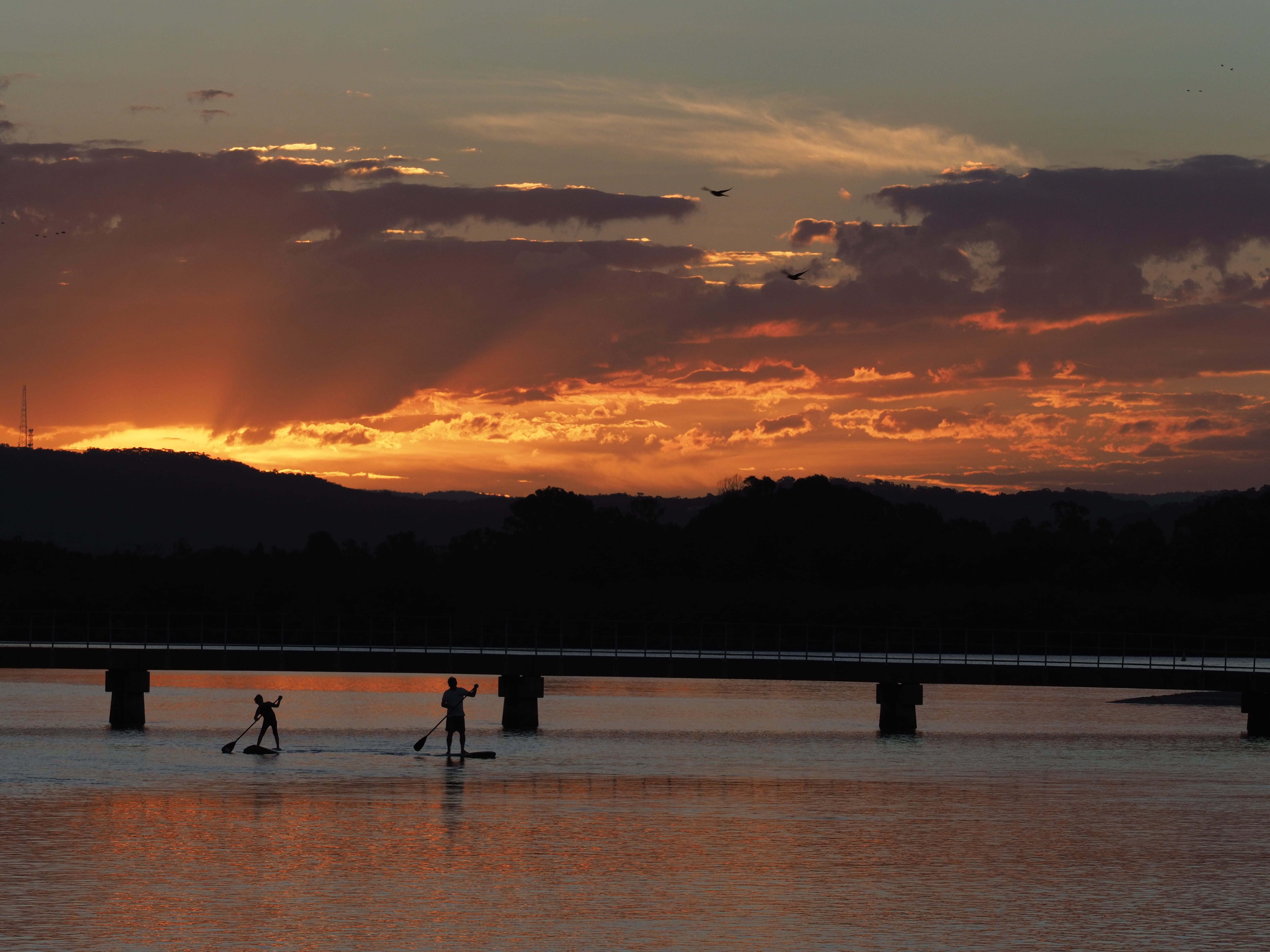 australia, nature, sup sunset water colour father and son beauty, silhouette, tranquility, scenics - nature, sunshine coast, leisure activity, group of people, HD Wallpaper