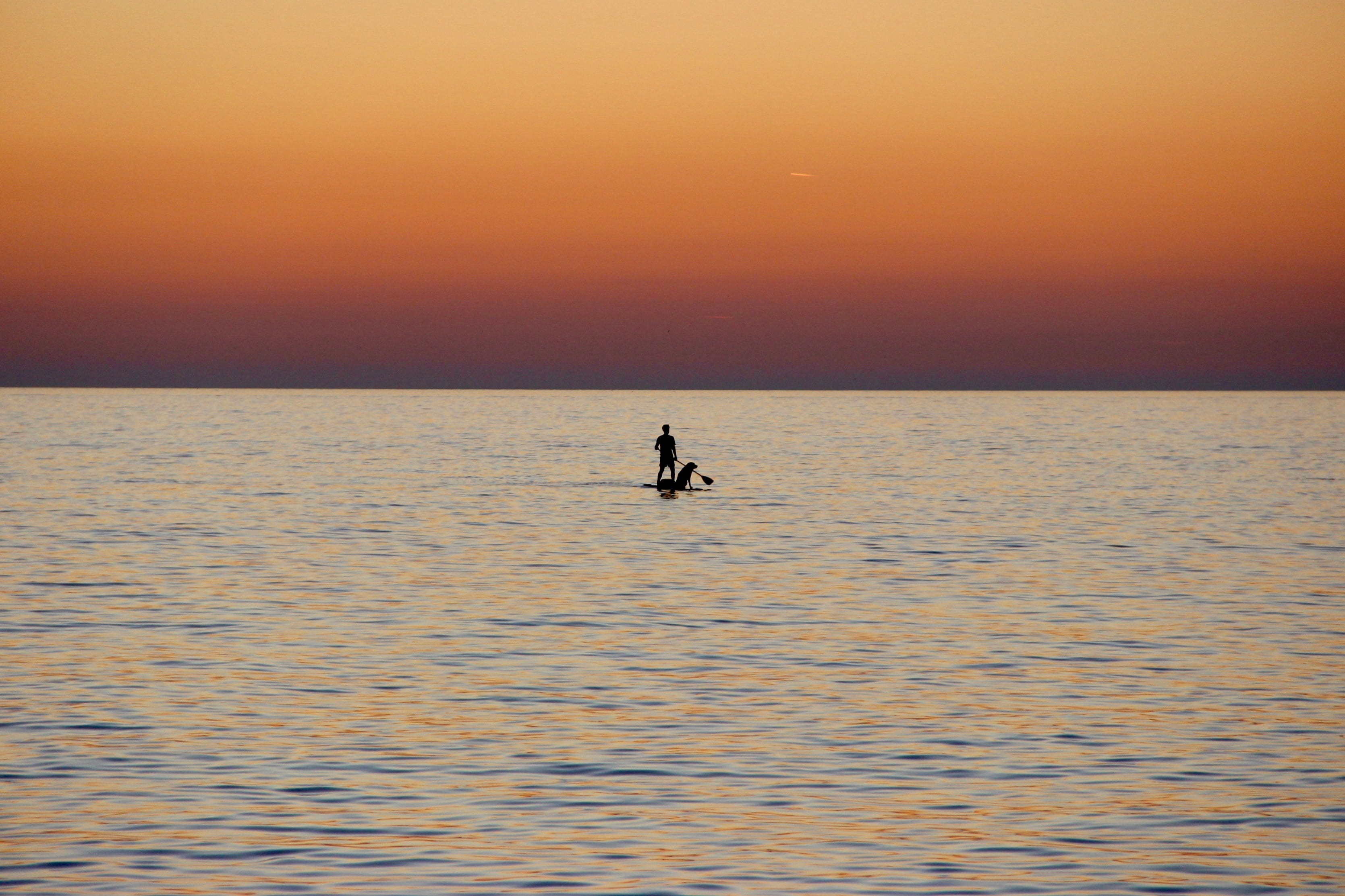 dog, holiday, orange color, lifestyles, paddleboarding, mediterranean, 2K, sunset sea, sunset, sky, silhouette, horizon over water, tranquil scene, tranquility, HD Wallpaper