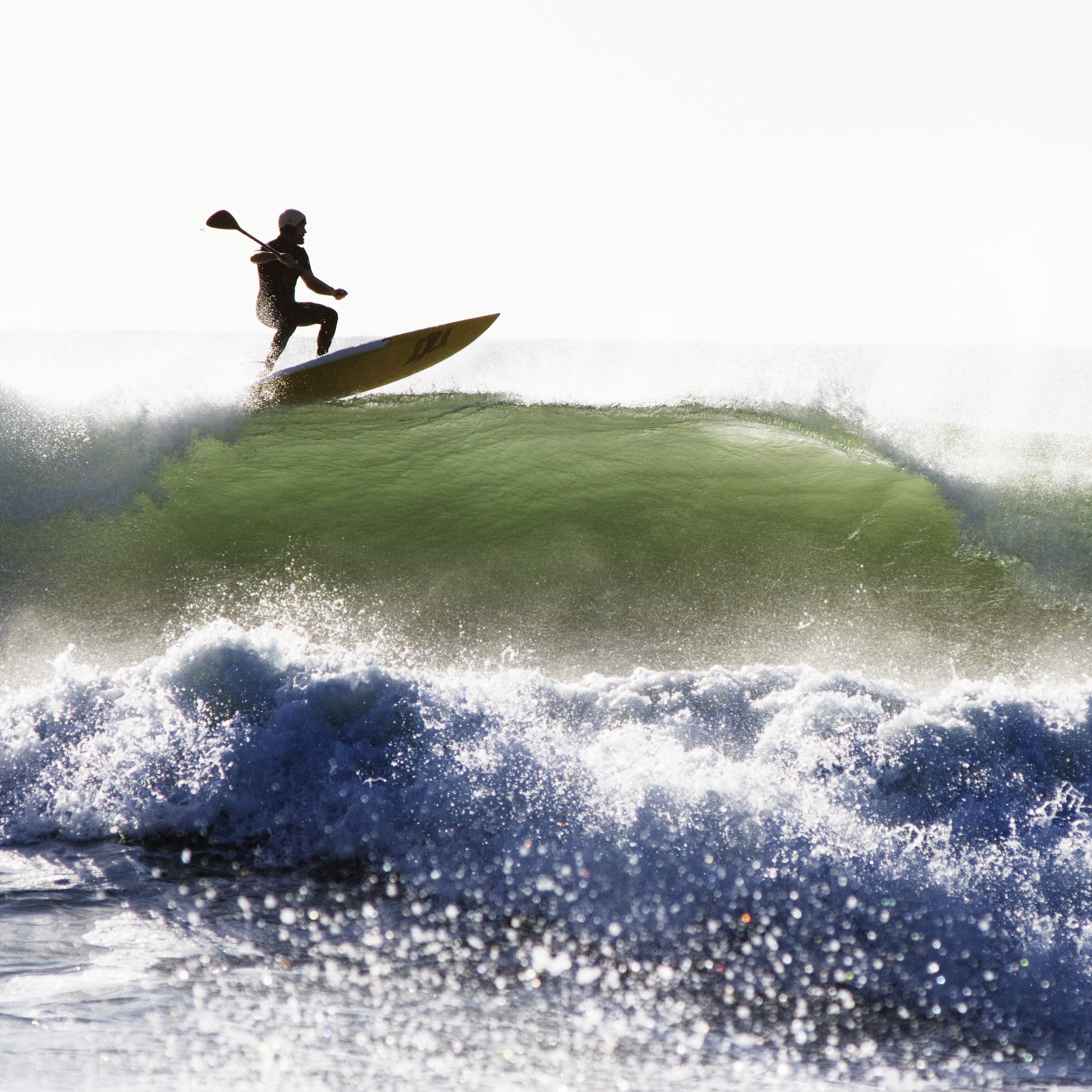 sport, waves, sea life, horizon over water, clothing, alone, surfboard, man, adventure, apparel, sports, ocean, sup, motion, surf, animal, sports equipment, Phone HD Wallpaper
