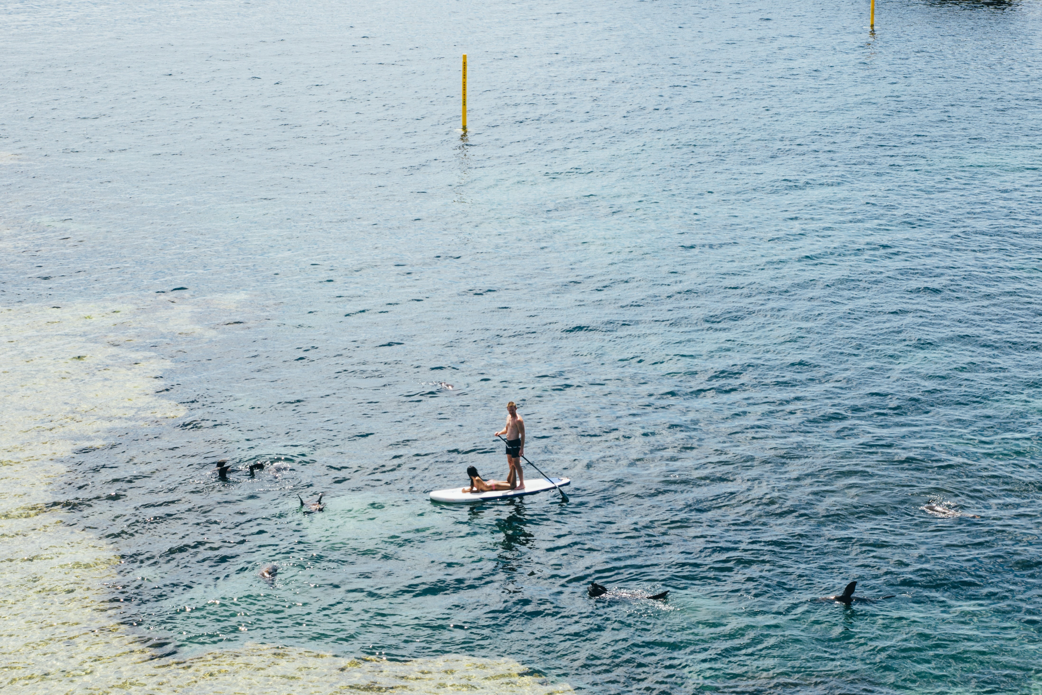 board, day, paddling, man, men, lifestyles, transportation, nautical Vessel, nature, sup, paddleboarding, sport, healthy, boarding, beach, 4K, real people, HD Wallpaper