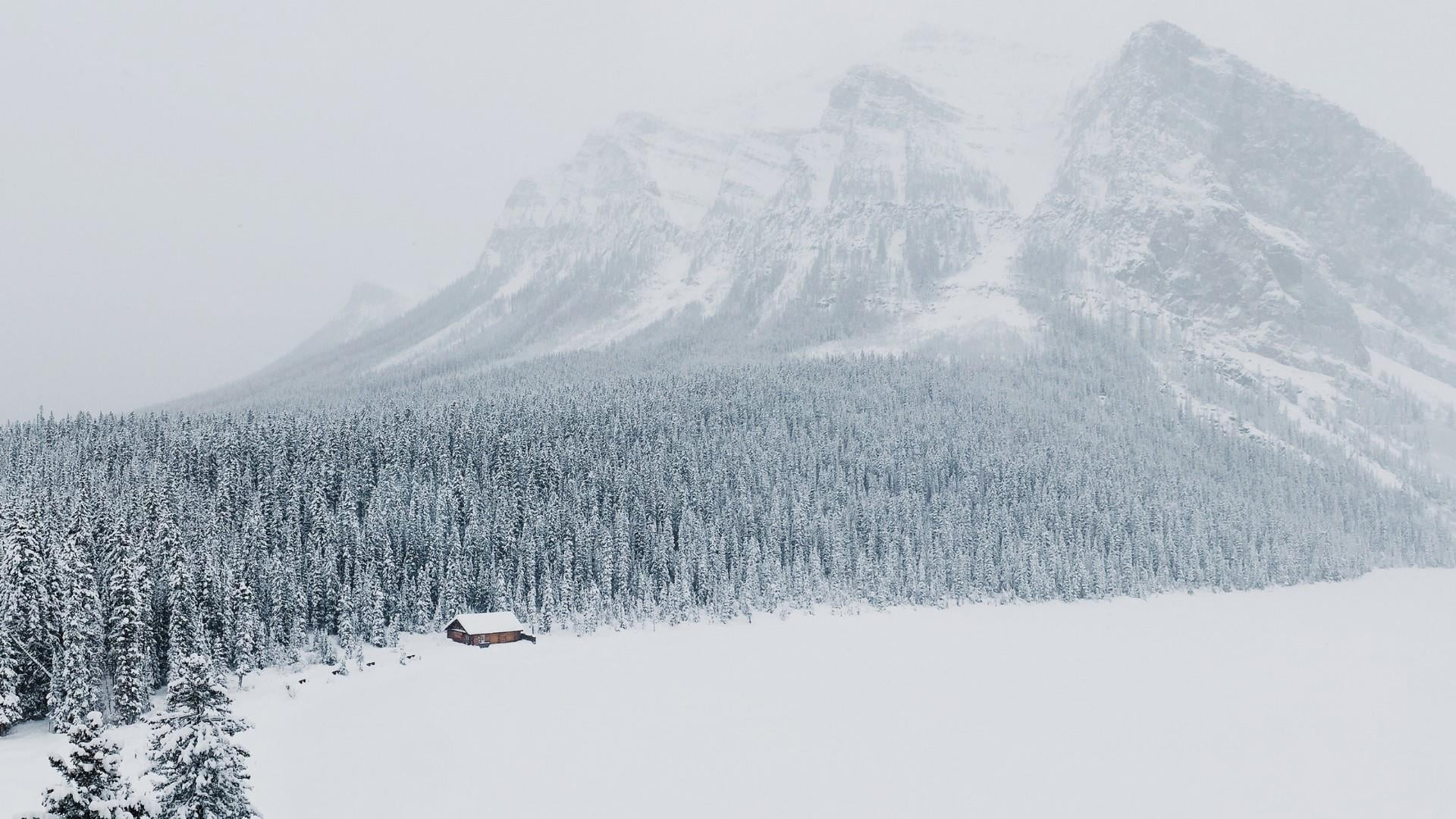 beauty in nature, cottage, tranquil scene, foggy, snow, mountain peak, pine tree, nebulous, tranquility, mountains, cold temperature, coniferous tree, forest, HD Wallpaper