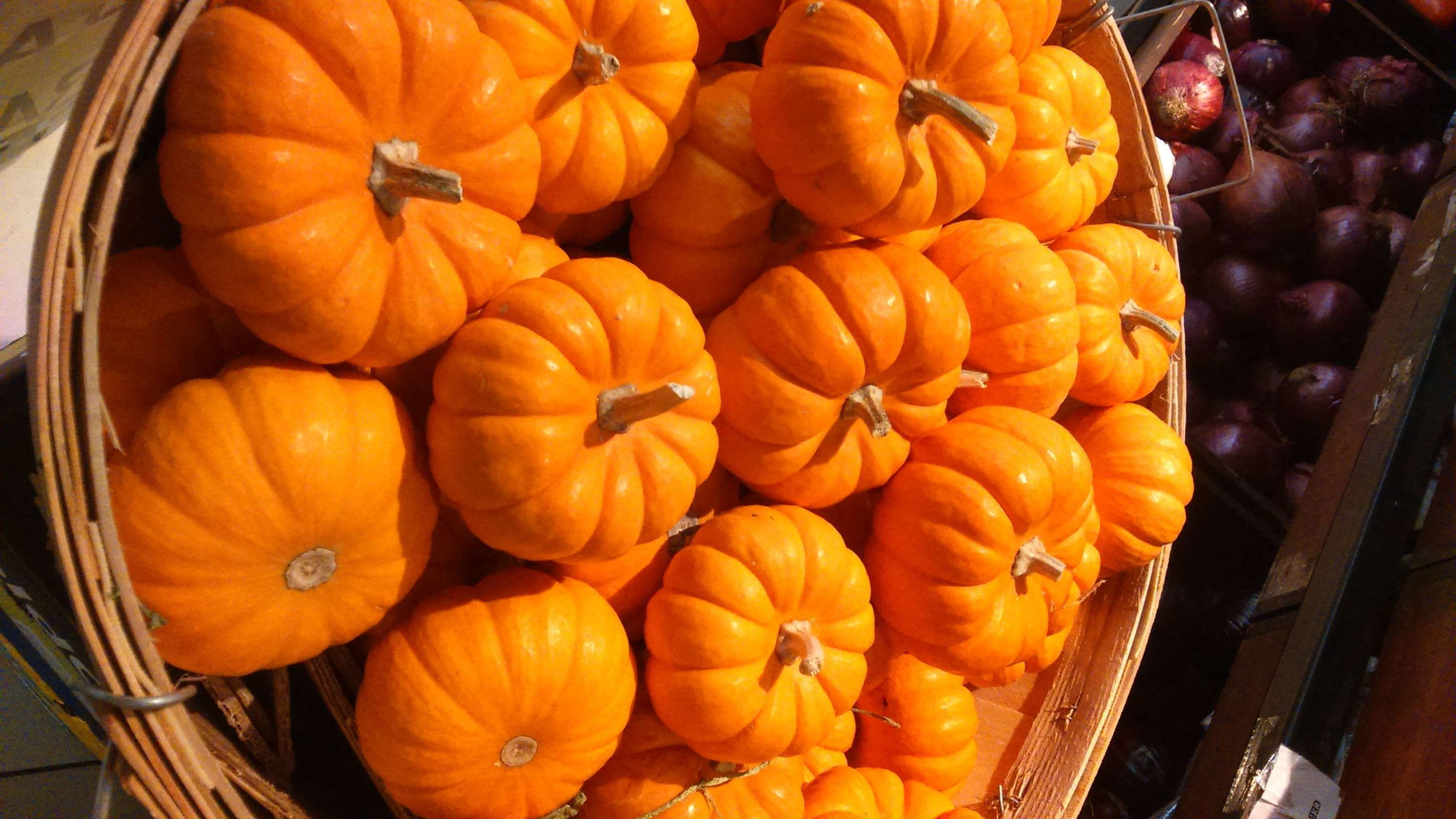 still life, food, autumn, pumpkin, freshness, market, vegetable, abundance, ripe, high angle view, healthy eating, orage, outdoors, organic, no people, HD Wallpaper