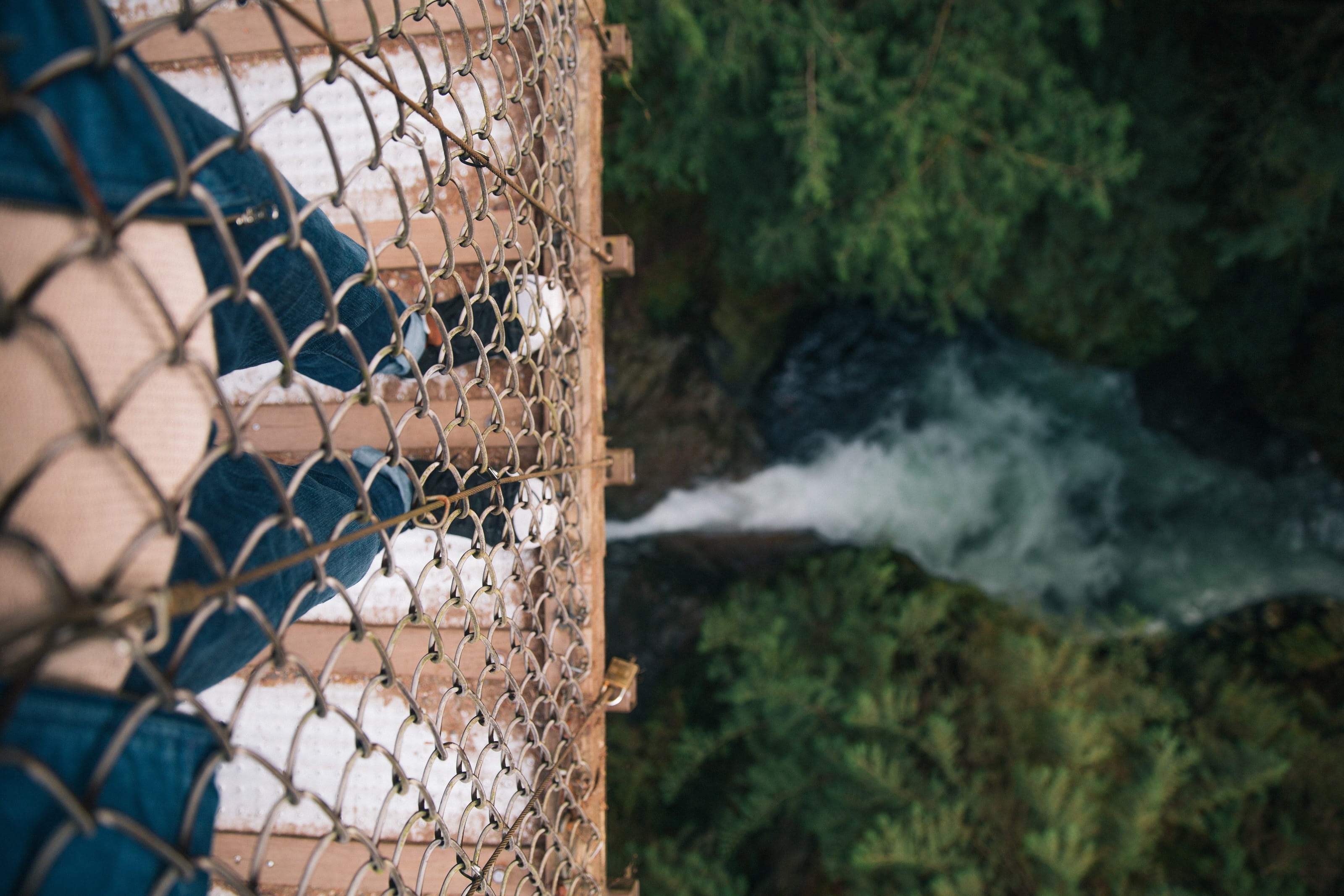 tree, railing, footbridge, forest, protection, denim jeans, high, flow, landscape, barrier, selective focus, no people, sport, sneakers, metal, receding, HD Wallpaper