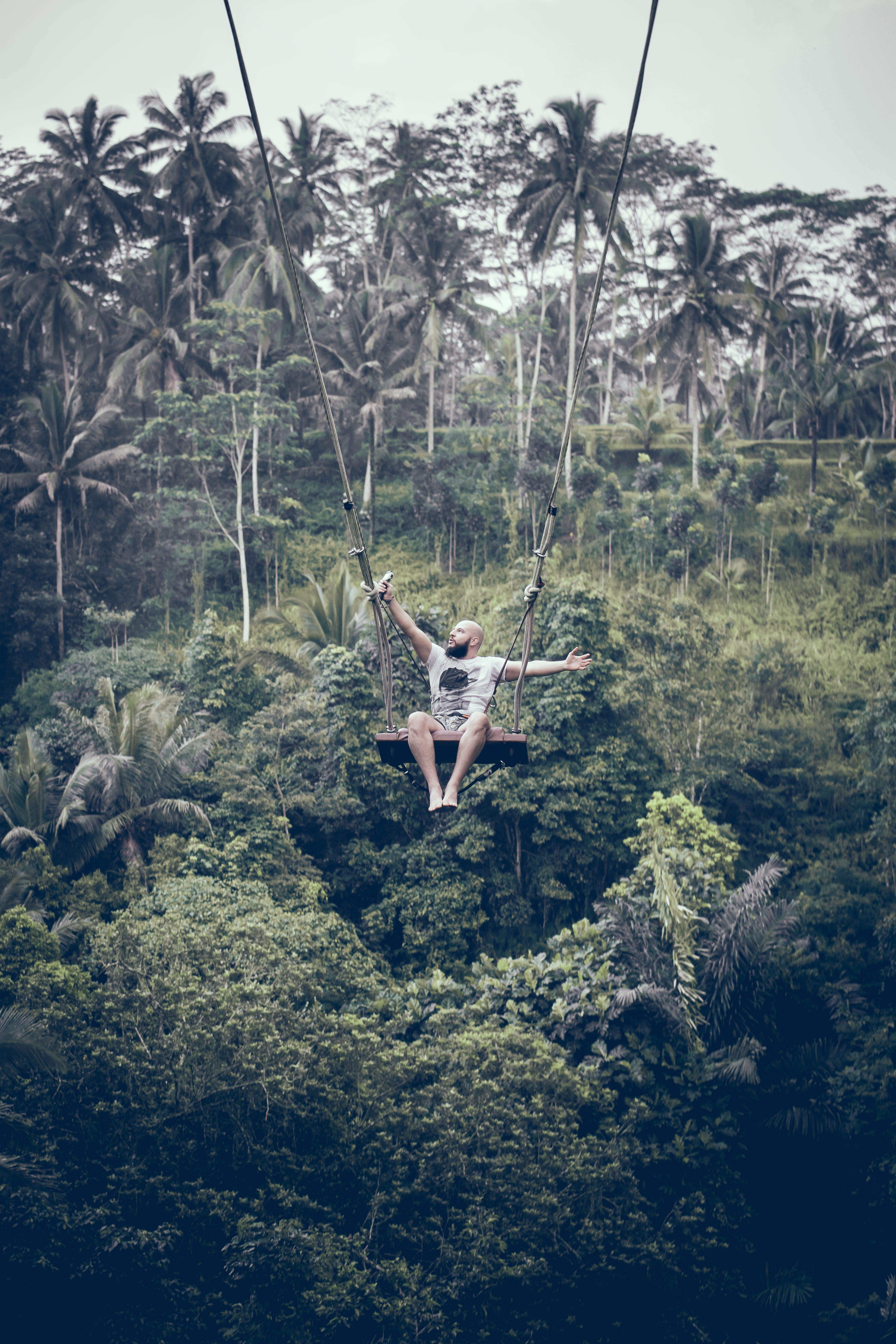 one person, jungle, swinging, daytime, women, plant, environment, altitude, hanging, grass, plants, lifestyles, sitting, leisure activity, real people, Phone HD Wallpaper