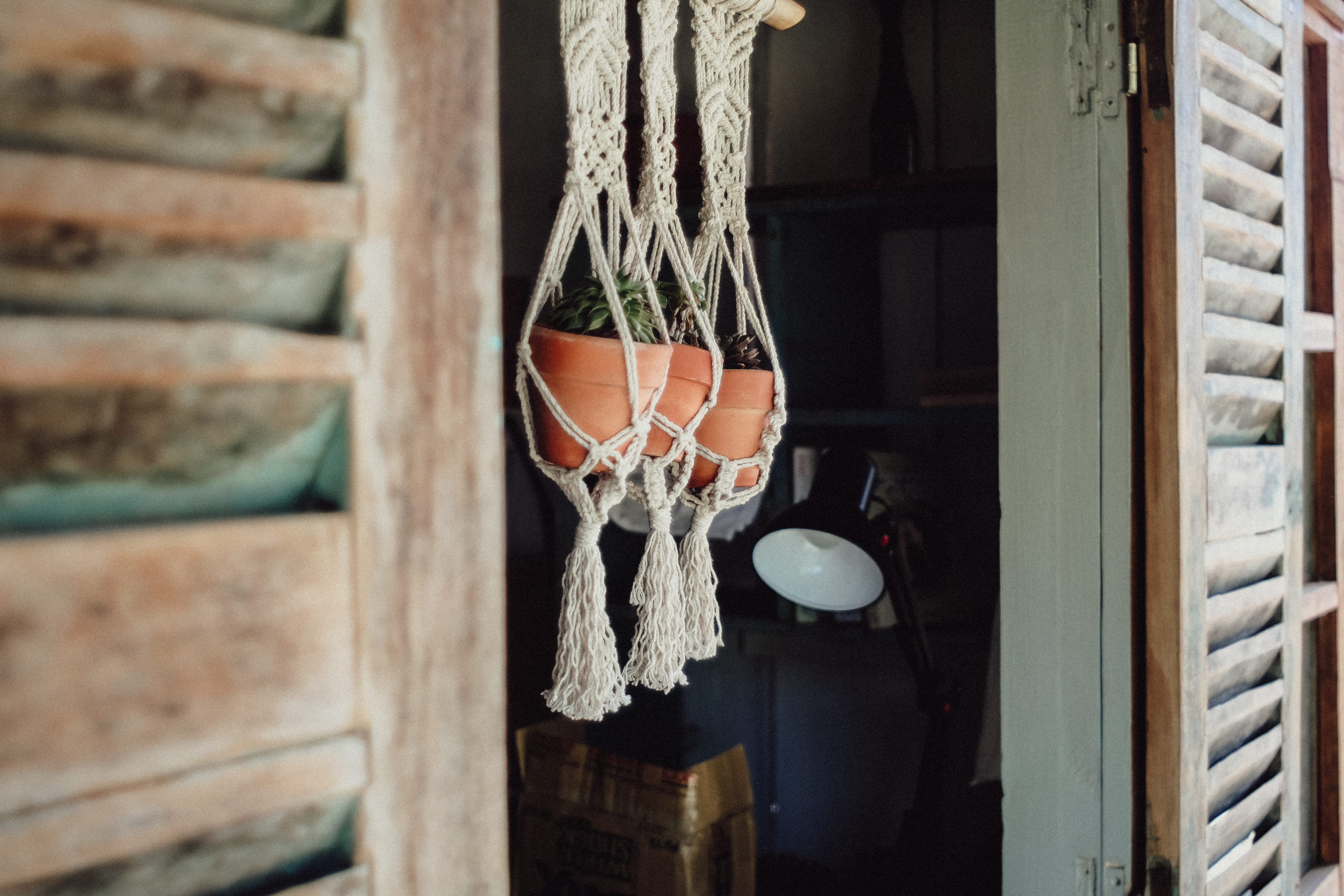 real people, human body part, entrance, 4K, wood - material, human limb, human leg, pots, architecture, hanging, lifestyles, outdoors, decor, pot plants, HD Wallpaper
