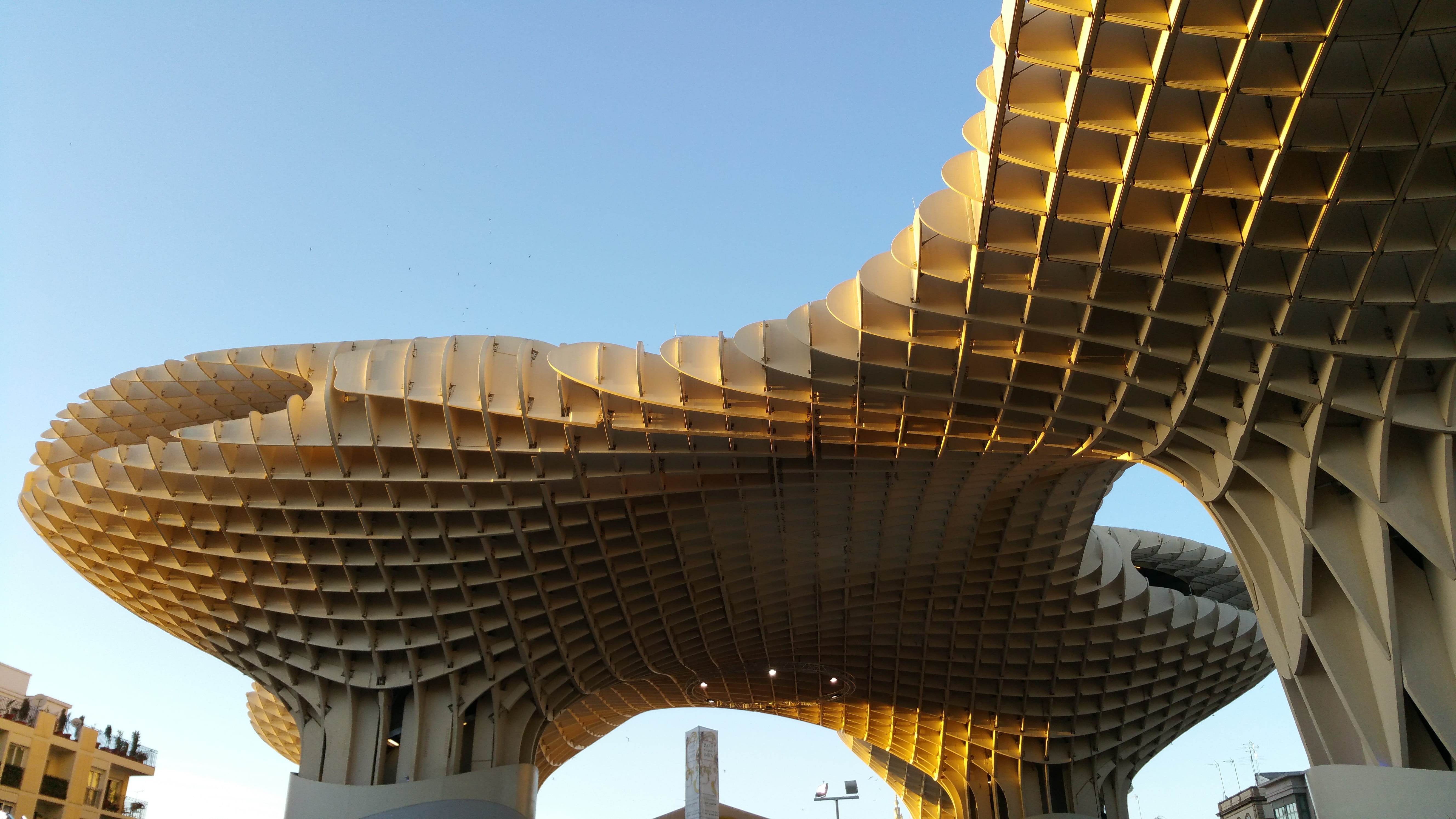 parasol, sevilla, low angle view, arch, sunlight, travel, outdoors, sky, no people, built structure, history, nature, tower, monument, clear sky, building exterior, HD Wallpaper