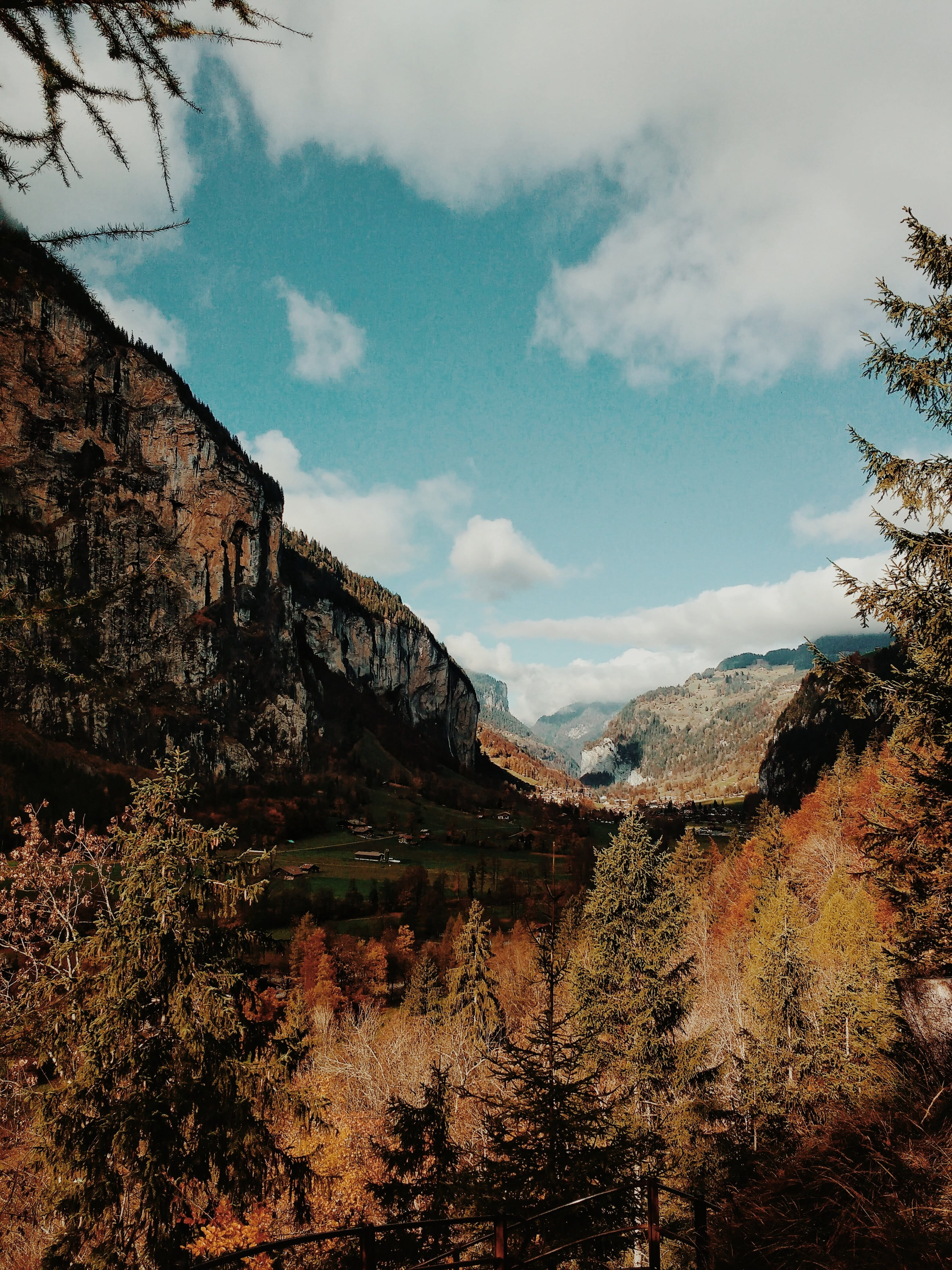 tree, forests, environment, blue, 4K, alps, building exterior, hue, swiss, sandbach 240, beauty in nature, mountains, nature, mountain, switzerland, no people, Phone HD Wallpaper