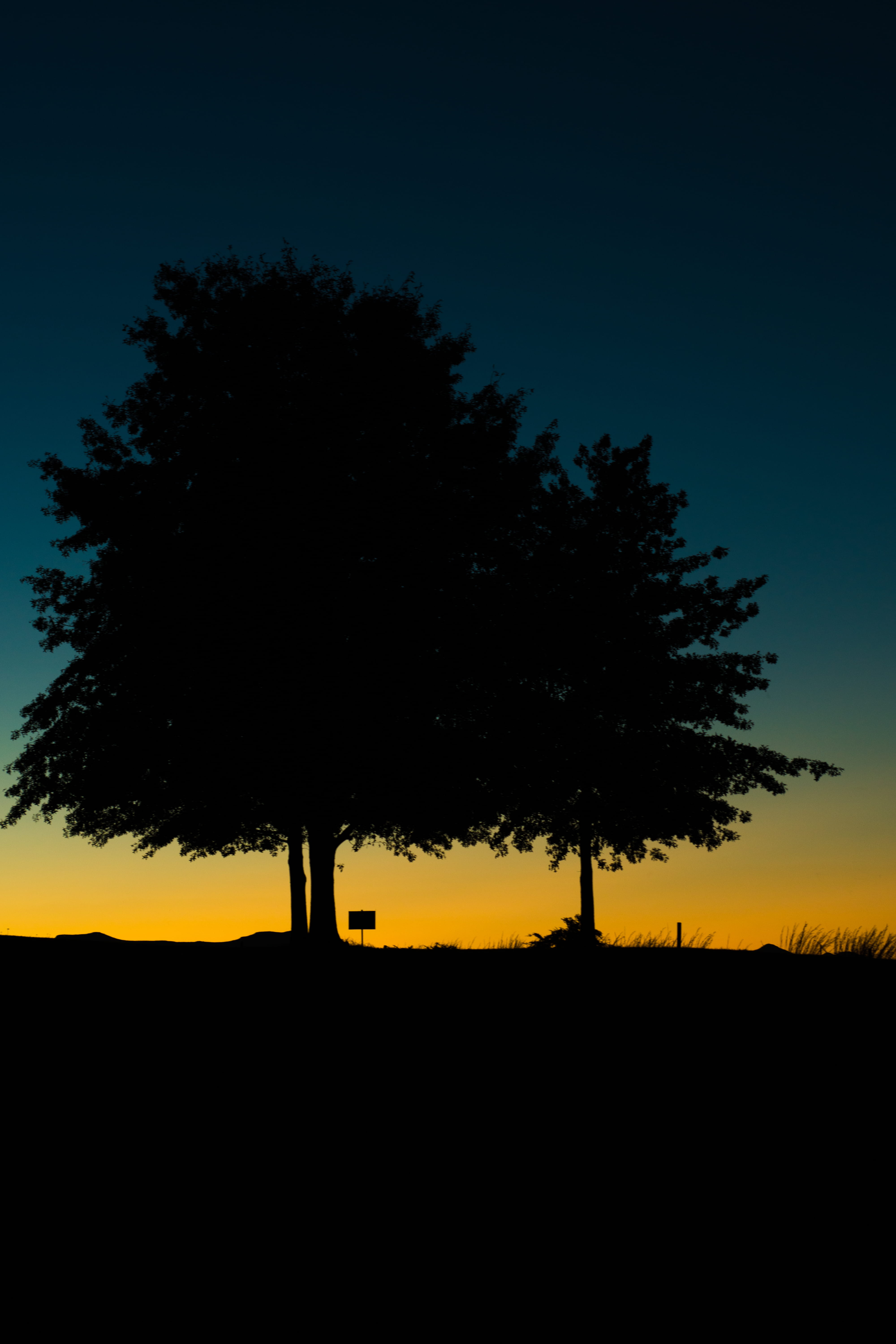 graduation, sunrise, field, silhouette, dark, scenics - nature, clear sky, dawn, growth, travel, orange hue, orange, folk, silhouettes, tree, vacation, Phone HD Wallpaper