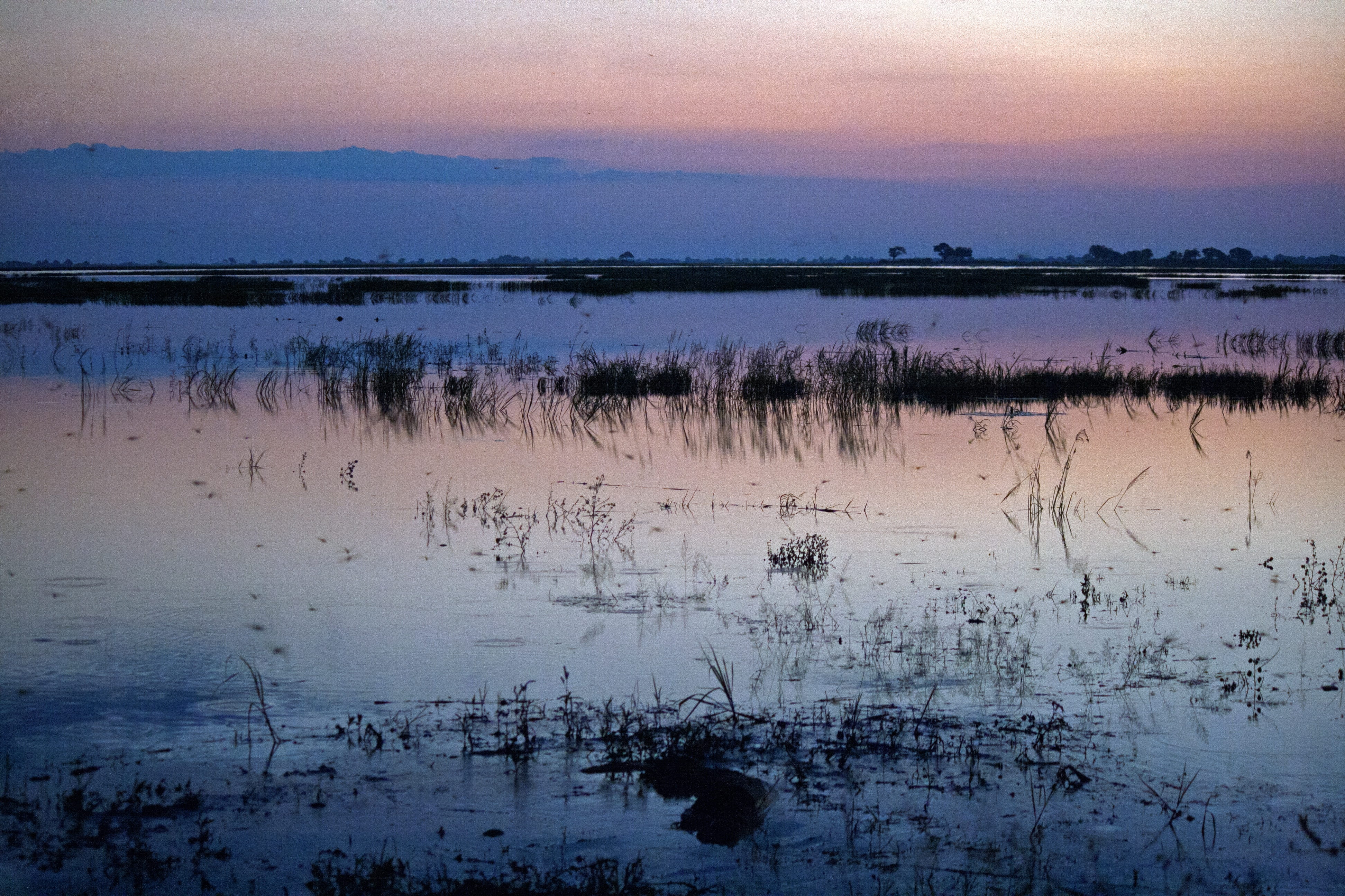 pink, africa, sky, non-urban scene, no people, plant, reflection, purple, 4K, landscape, lagoon, cloud - sky, blue, tranquility, tranquil scene, idyllic, HD Wallpaper
