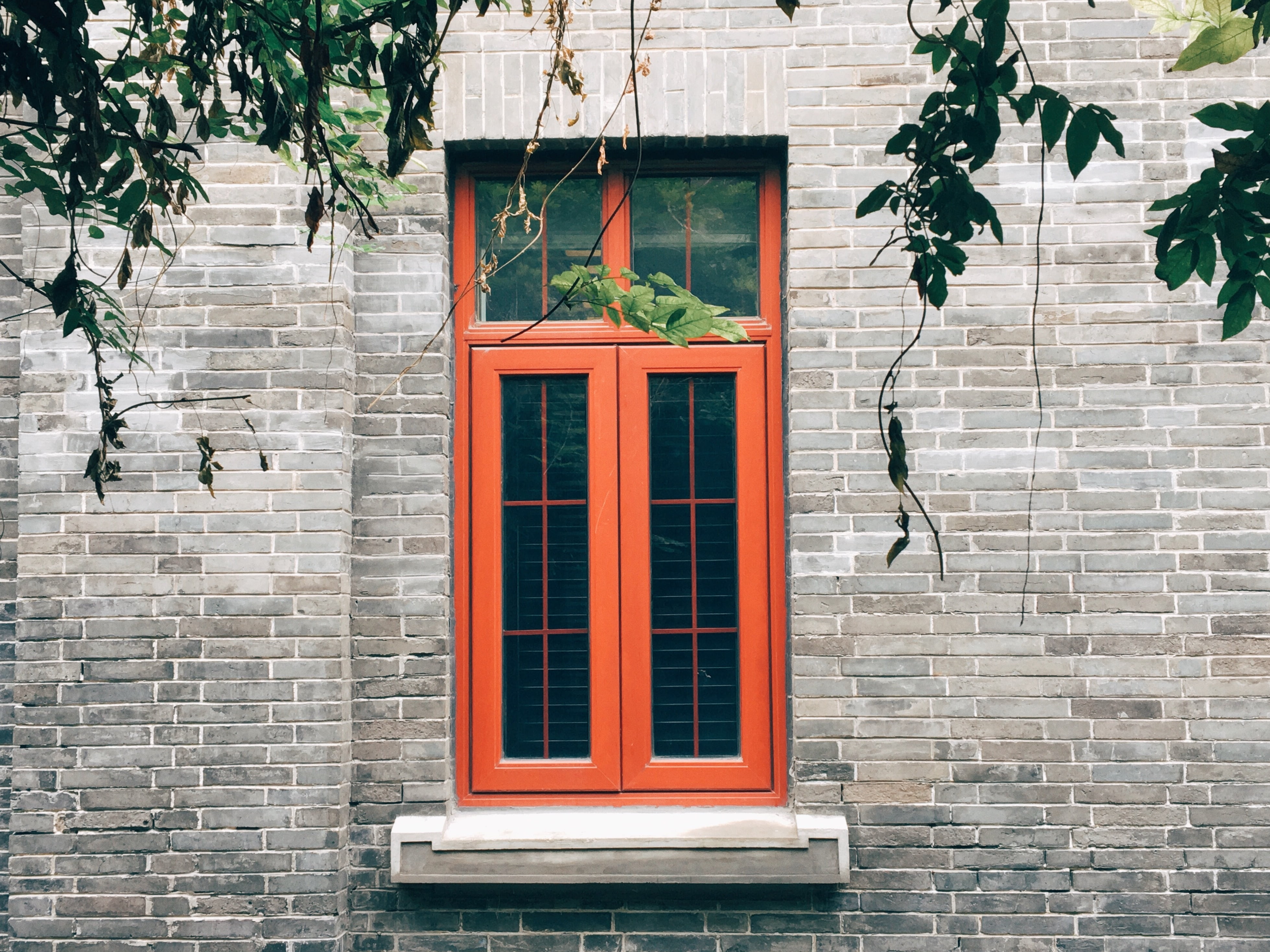 brick, tree, no people, nature, wall - building feature, building exterior, 4K, red, building, a person, outdoors, built structure, nanjing, be quiet, HD Wallpaper