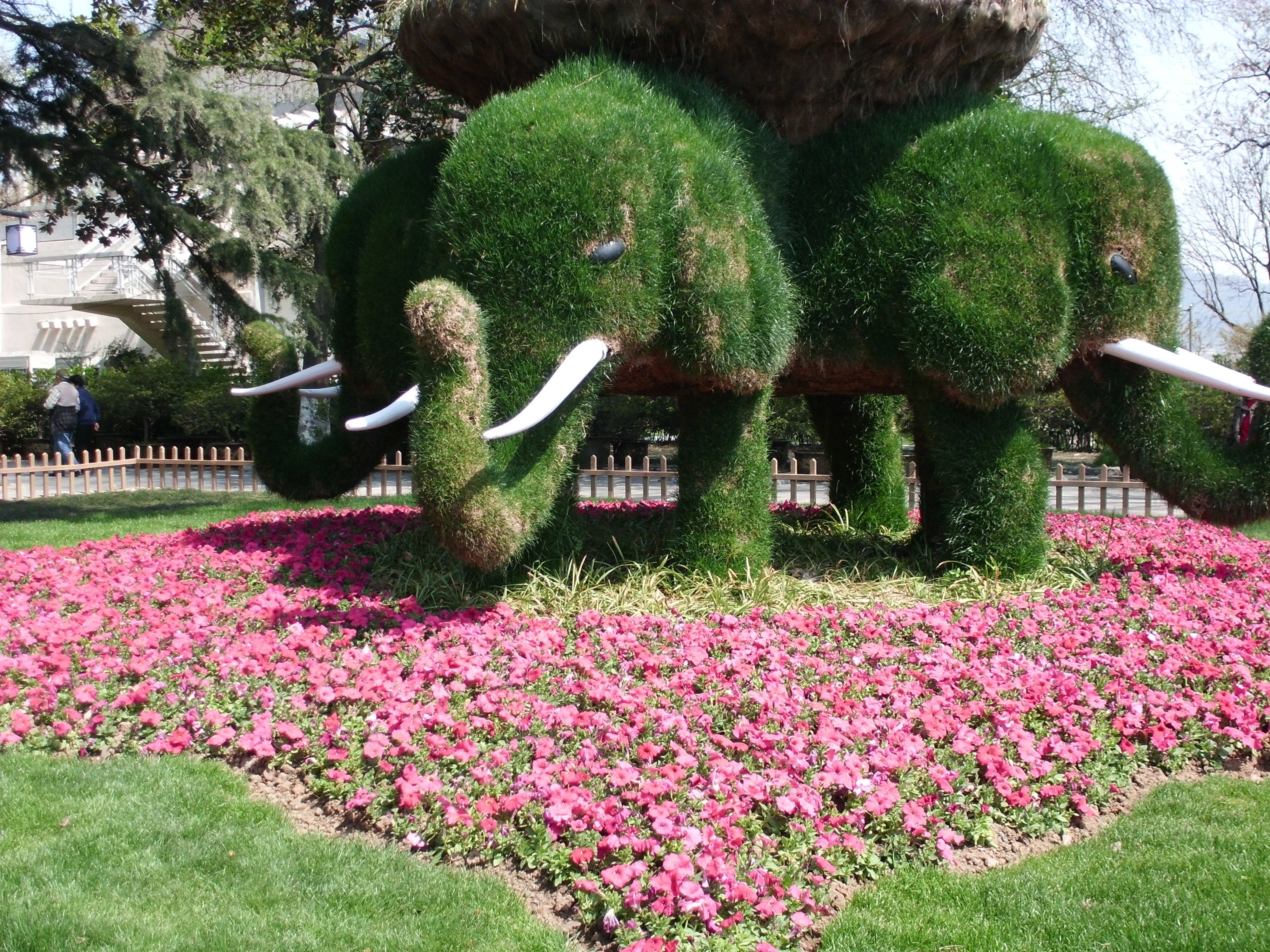 front or back yard, no people, ornamental garden, gardens, grass, day, flower, plant, nature, pink color, hedge, flowering plant, nanjing, sculpture, green color, HD Wallpaper