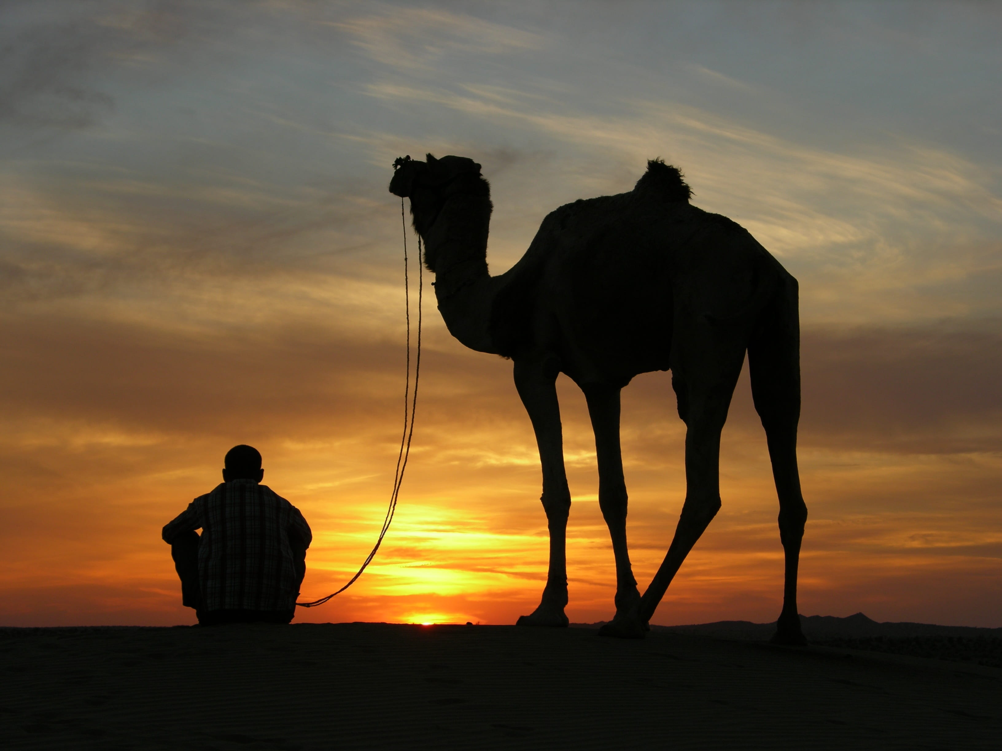 2K, one animal, sunset, pets, mammal, nature, one person, livestock, cloud - sky, desert, dawn, herbivorous, standing, travel, dusk, domestic, orange color, HD Wallpaper