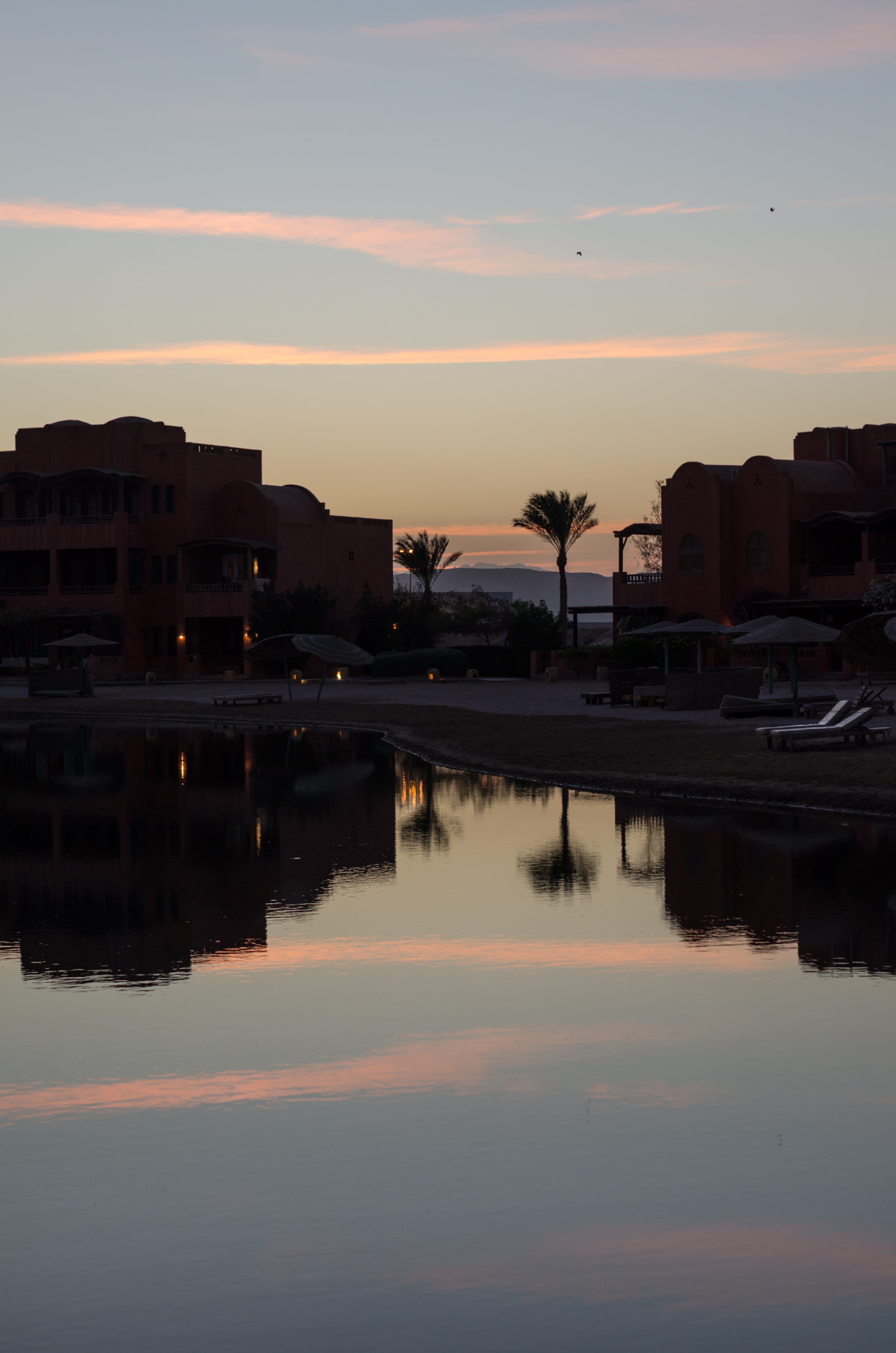 haze, reflection, building exterior, egypt, 4K, sunset, beauty in nature, architecture, mode of transportation, sky, lake, nature, business, palmtrees, Phone HD Wallpaper