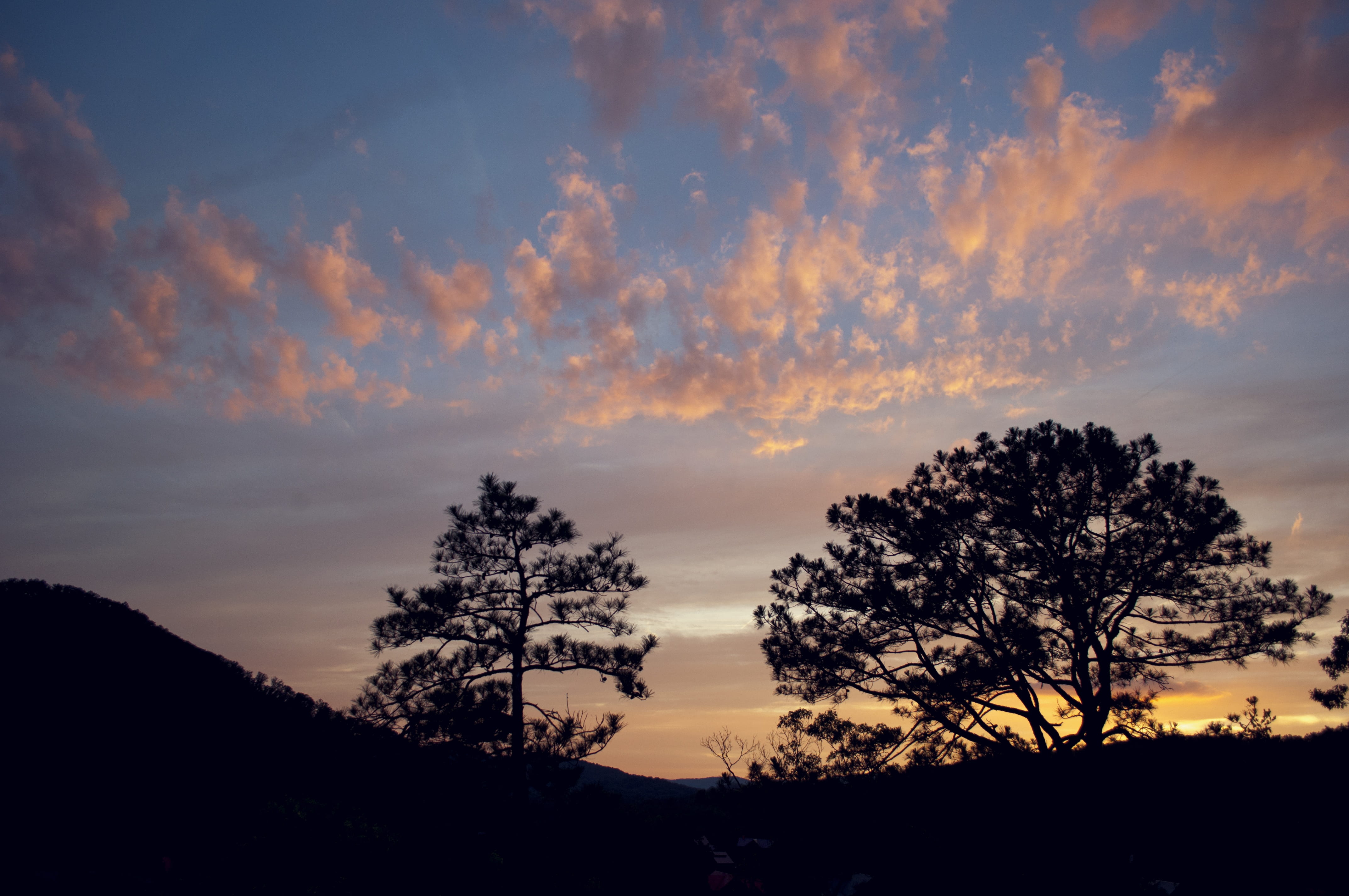light, tranquility, dusk, outdoors, dramatic sky, nature, landscape, sunset, beauty in nature, silhouetted, evening, scenics - nature, growth, orange color, HD Wallpaper