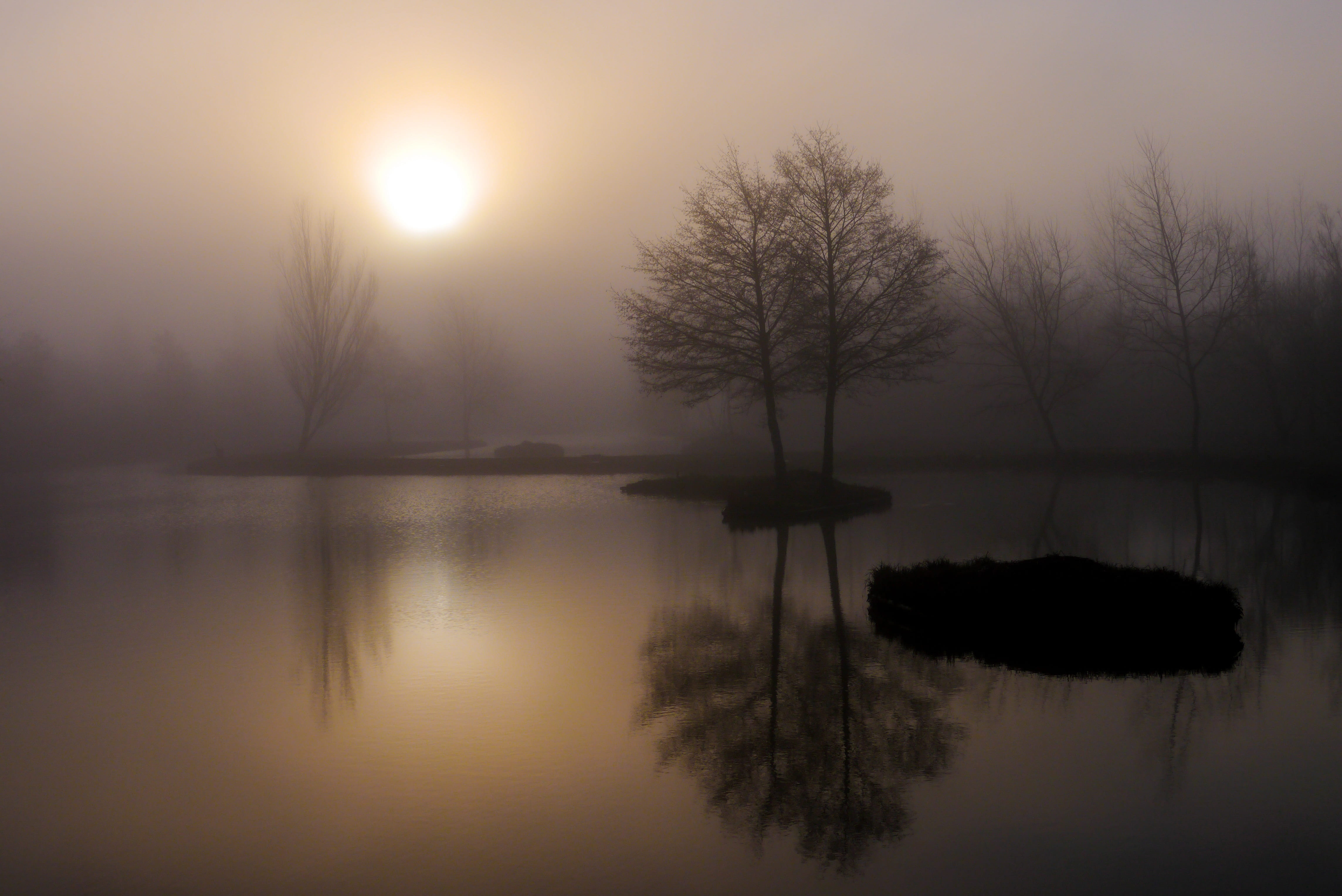 scenics - nature, fog, sun, mirror, dawn, tranquility, twilight, no people, daylight saving, reflection lake, outdoors, 4K, tranquil scene, landscape, HD Wallpaper